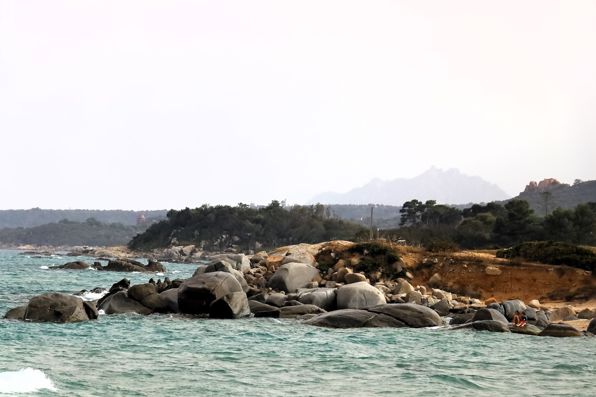 Orrì 18-06-2024 - 0471