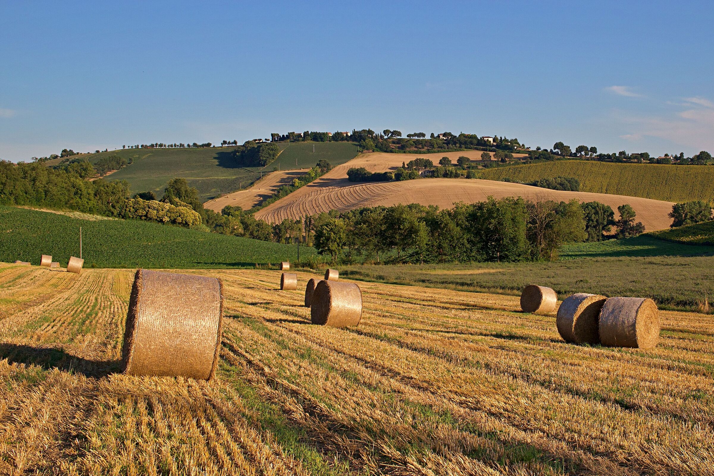 Marche countryside at sunset
