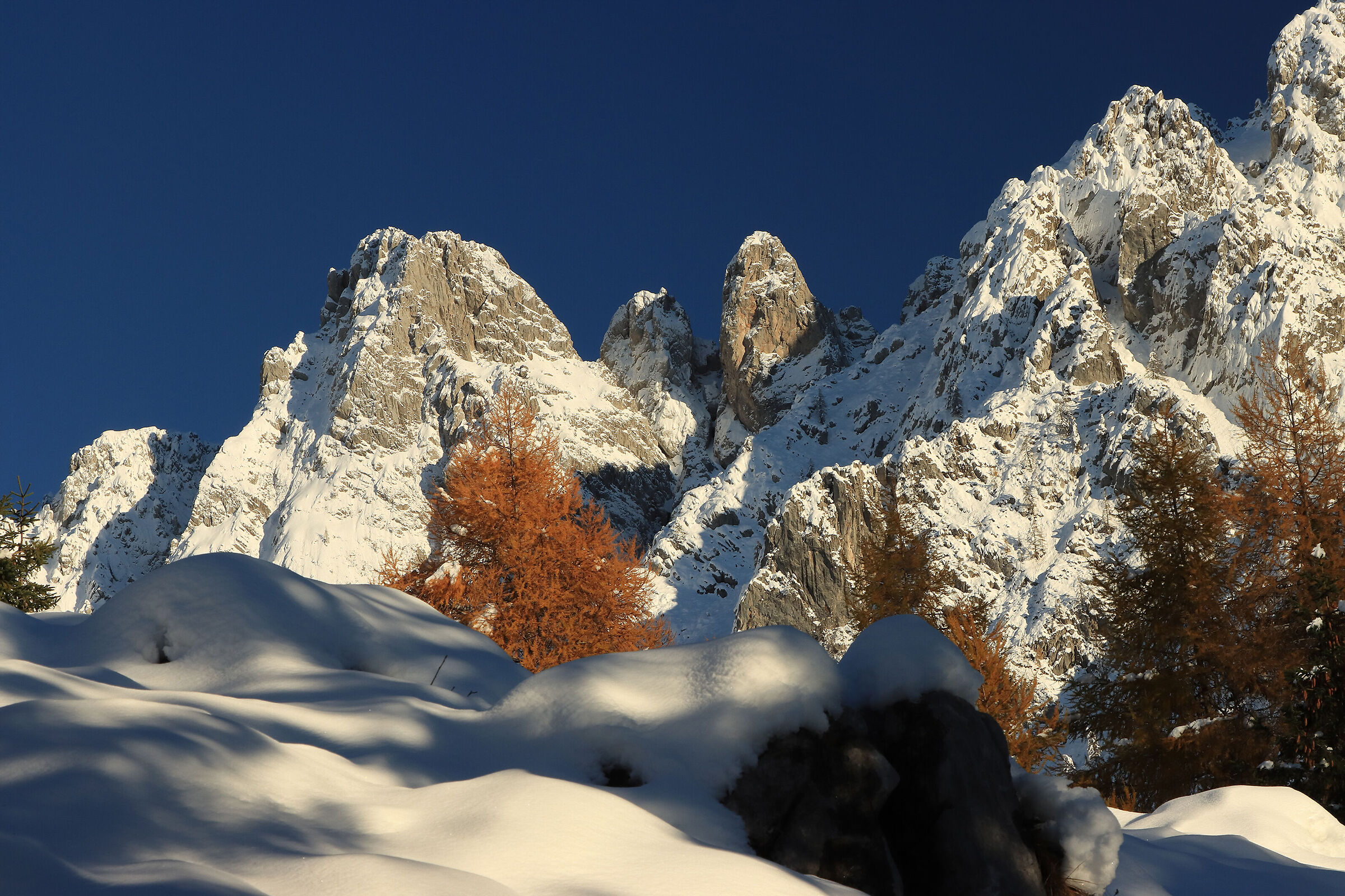 a memory of the magnificent Campelli