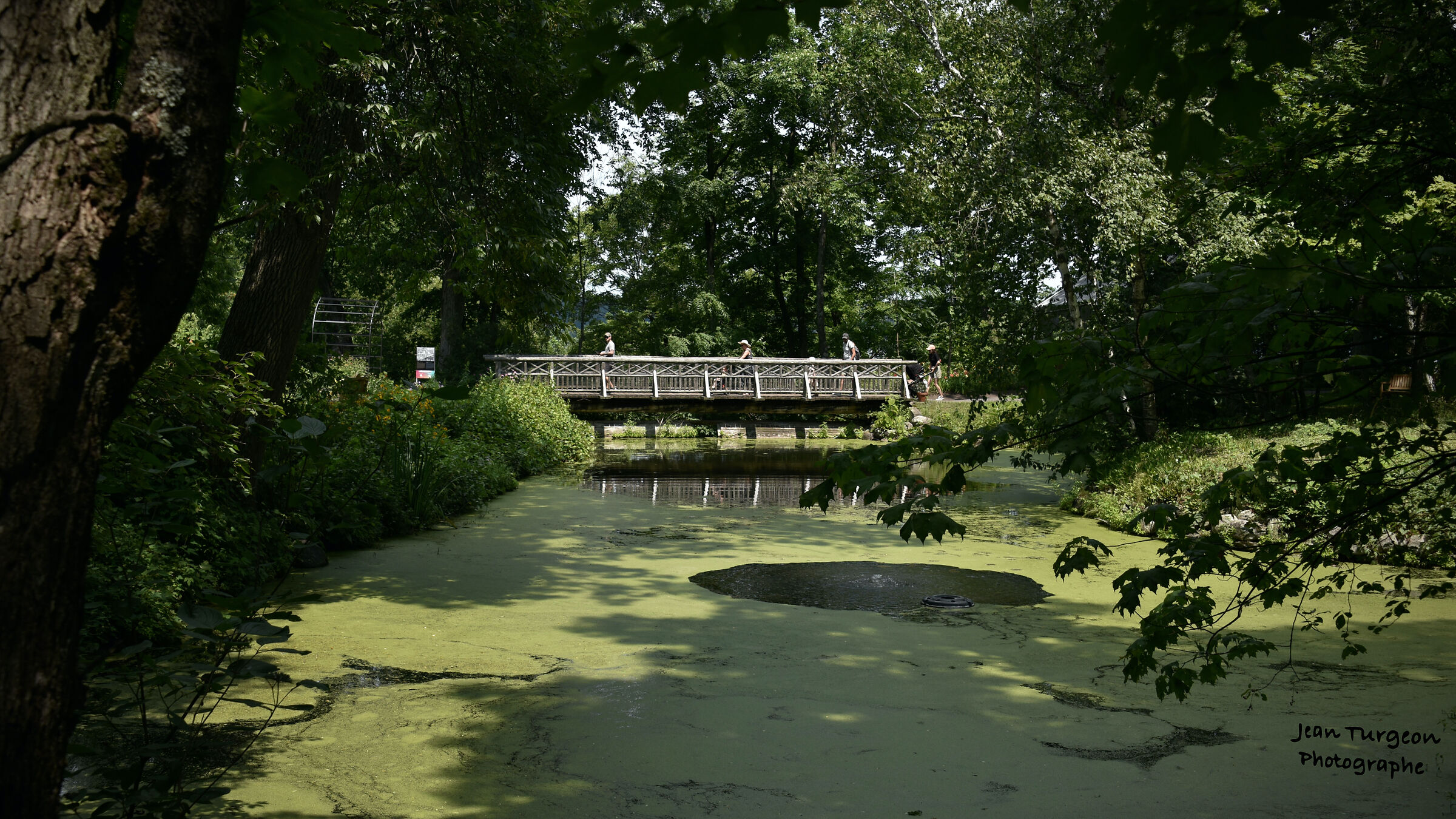 Non è il ponte di Avignone - canzone