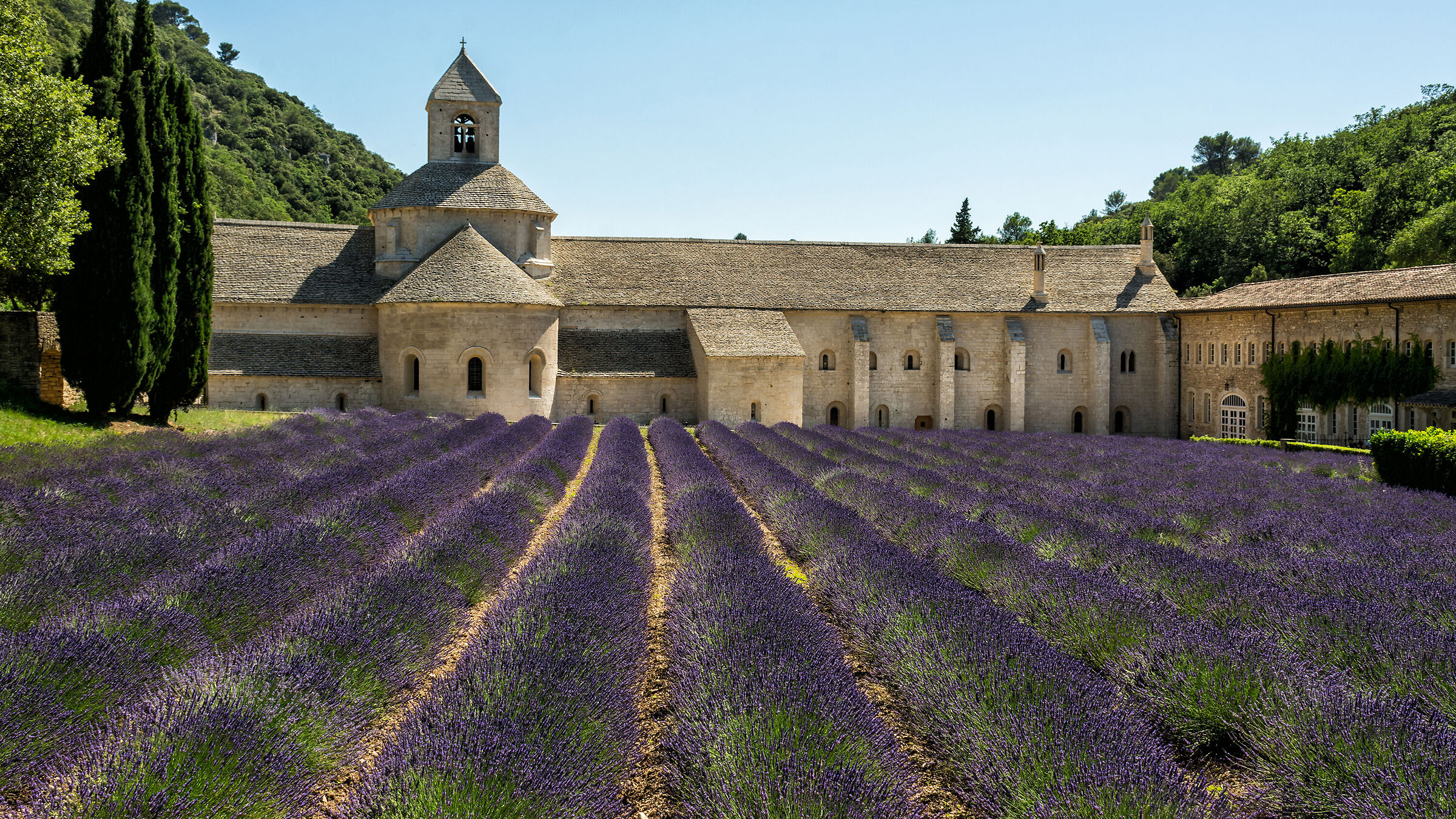 Abbazia di Senanque