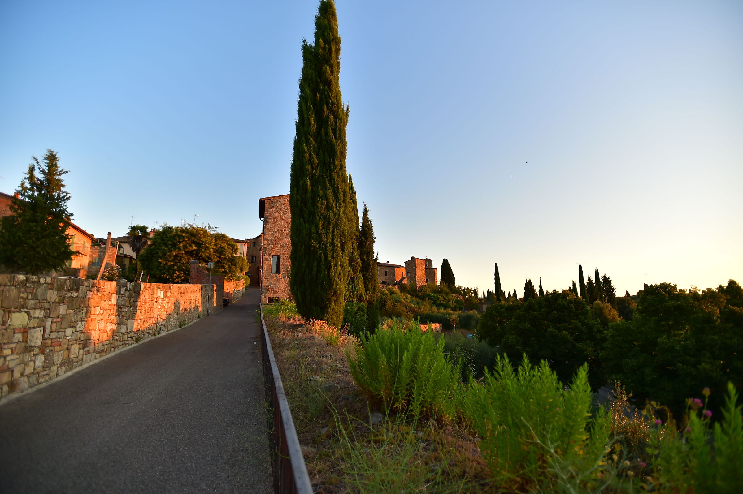 Alba a San Quirico d'Orcia
