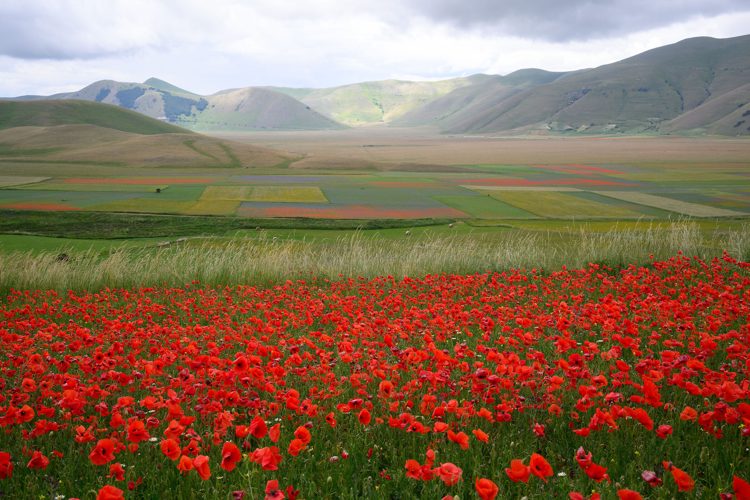 Castelluccio di Norcia