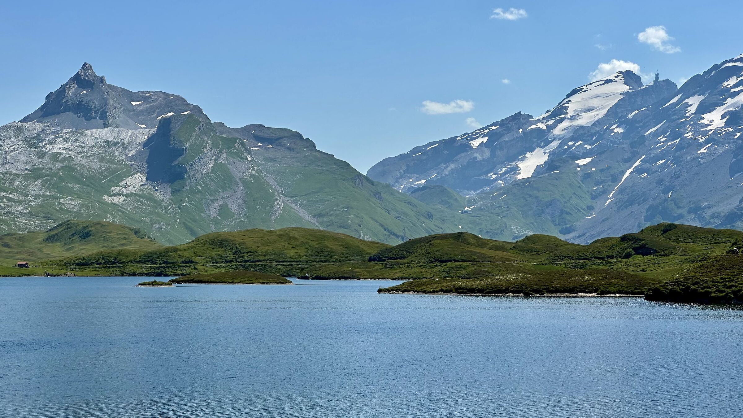 Tannensee Frutt & Titlis Dietro pianta