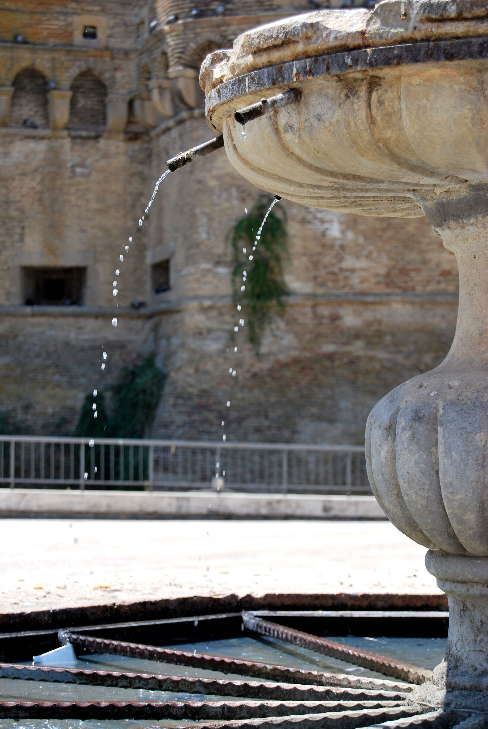 Nikon d60-4 -Jpeg Impressions