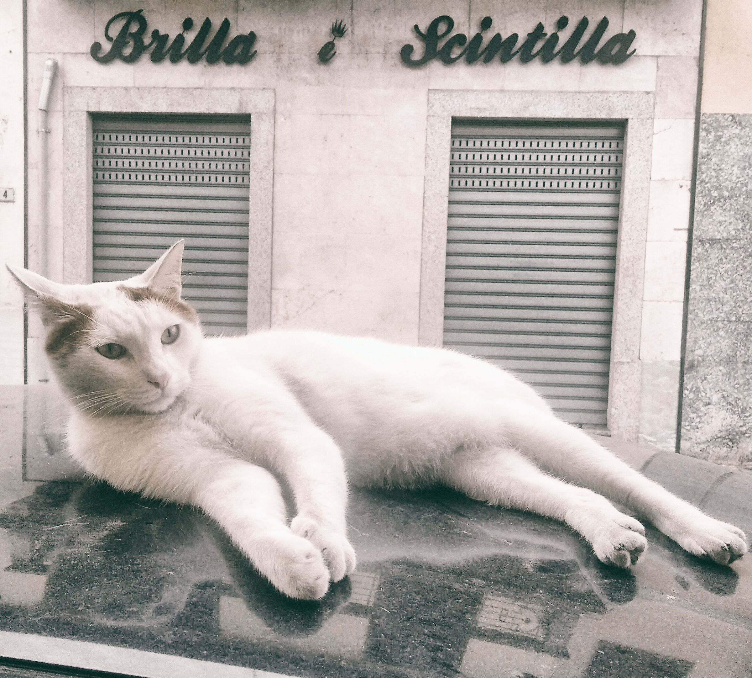 It shines and sparkles...