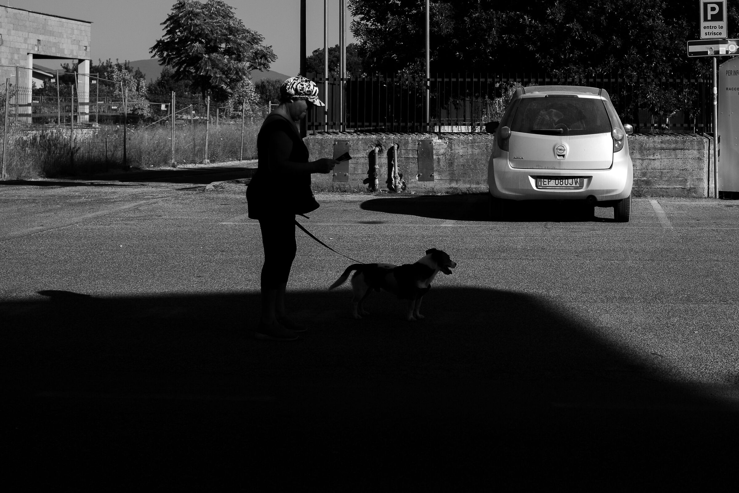 Snapshot images on the road