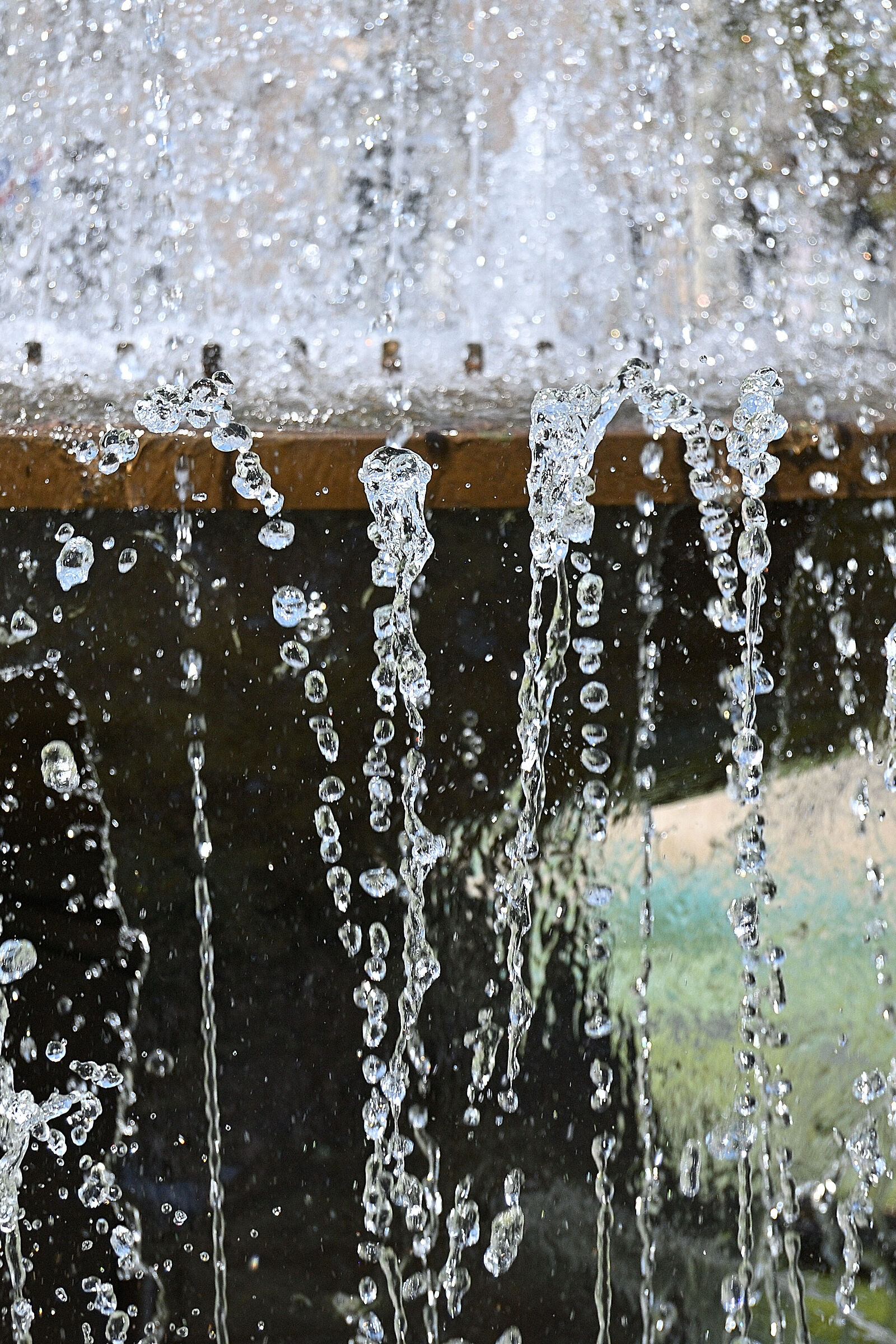 Nikon D60-10 Raw Impressions