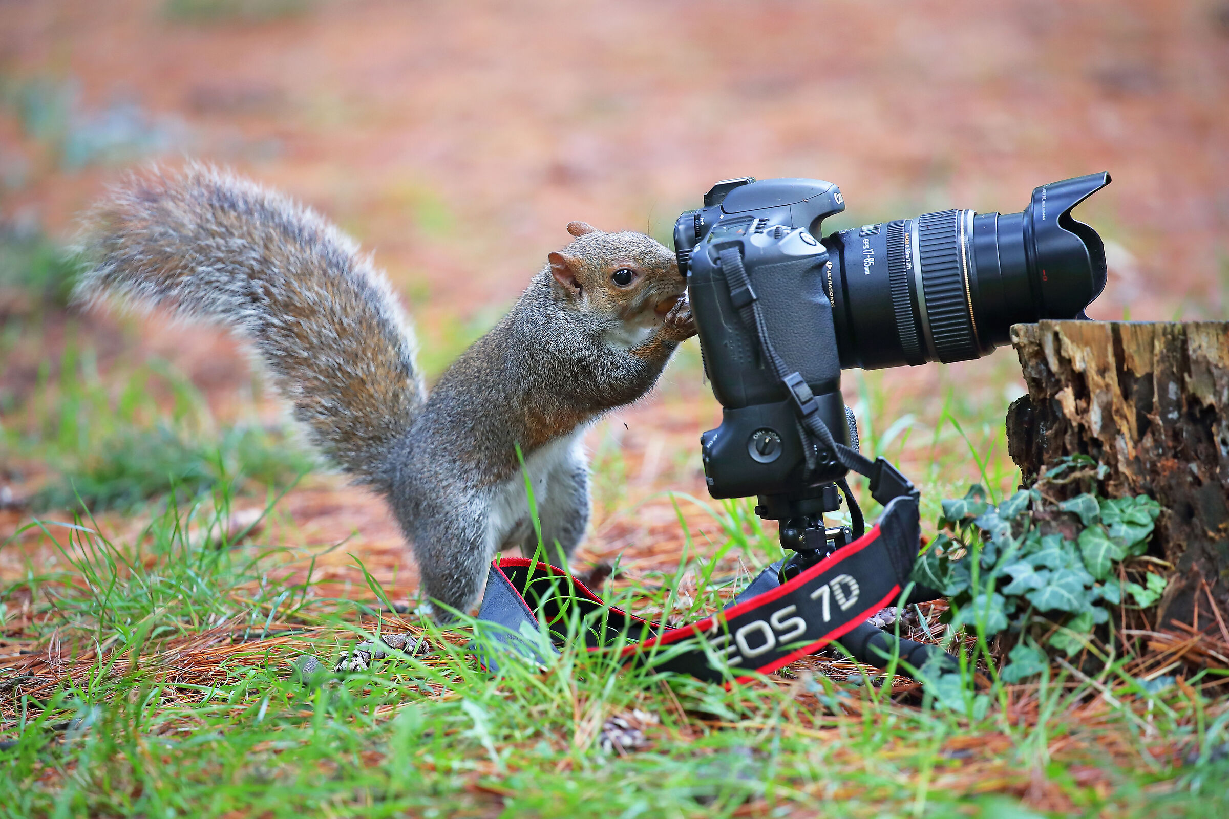 Il fotografo