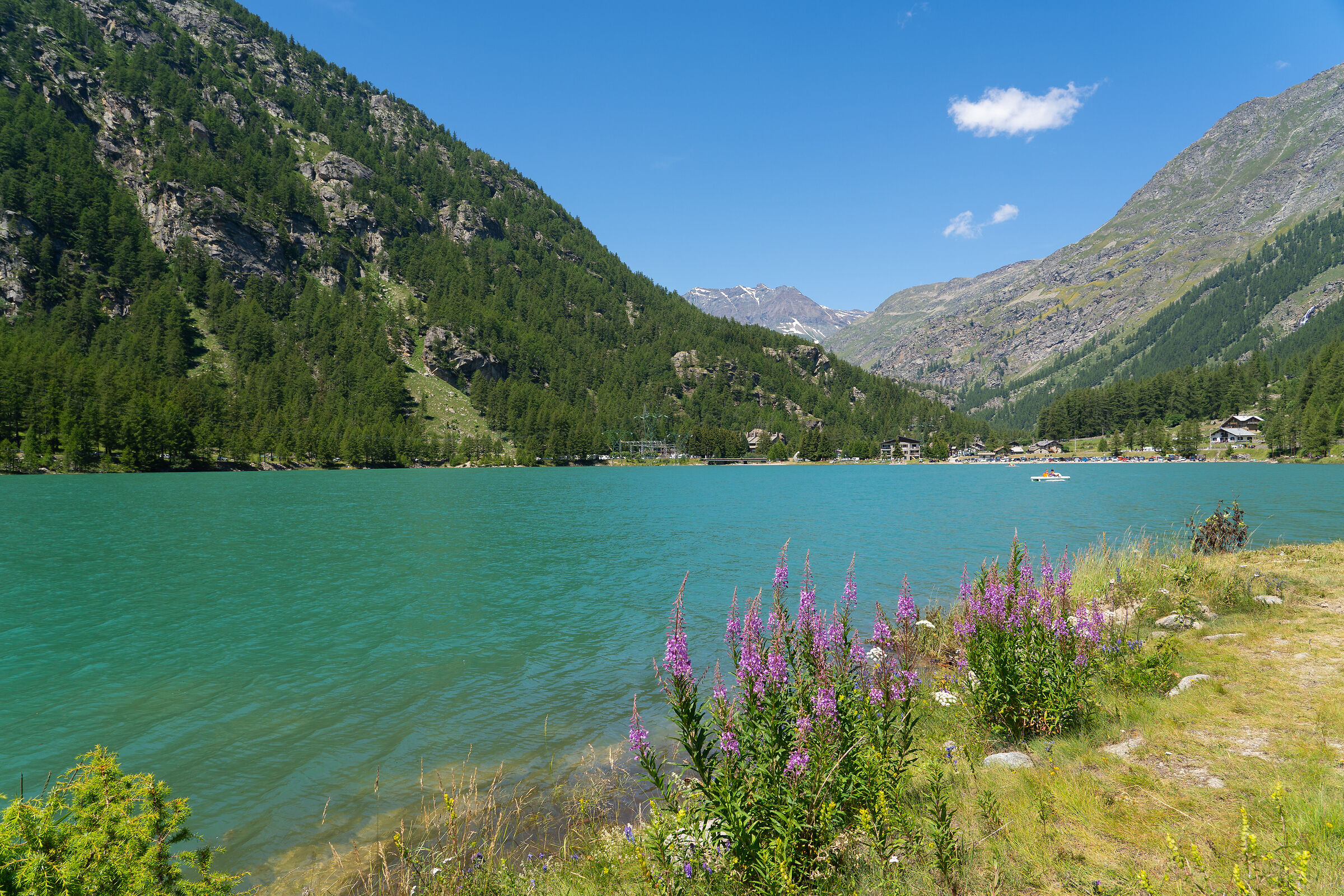 The colors of Lake Ceresole Reale