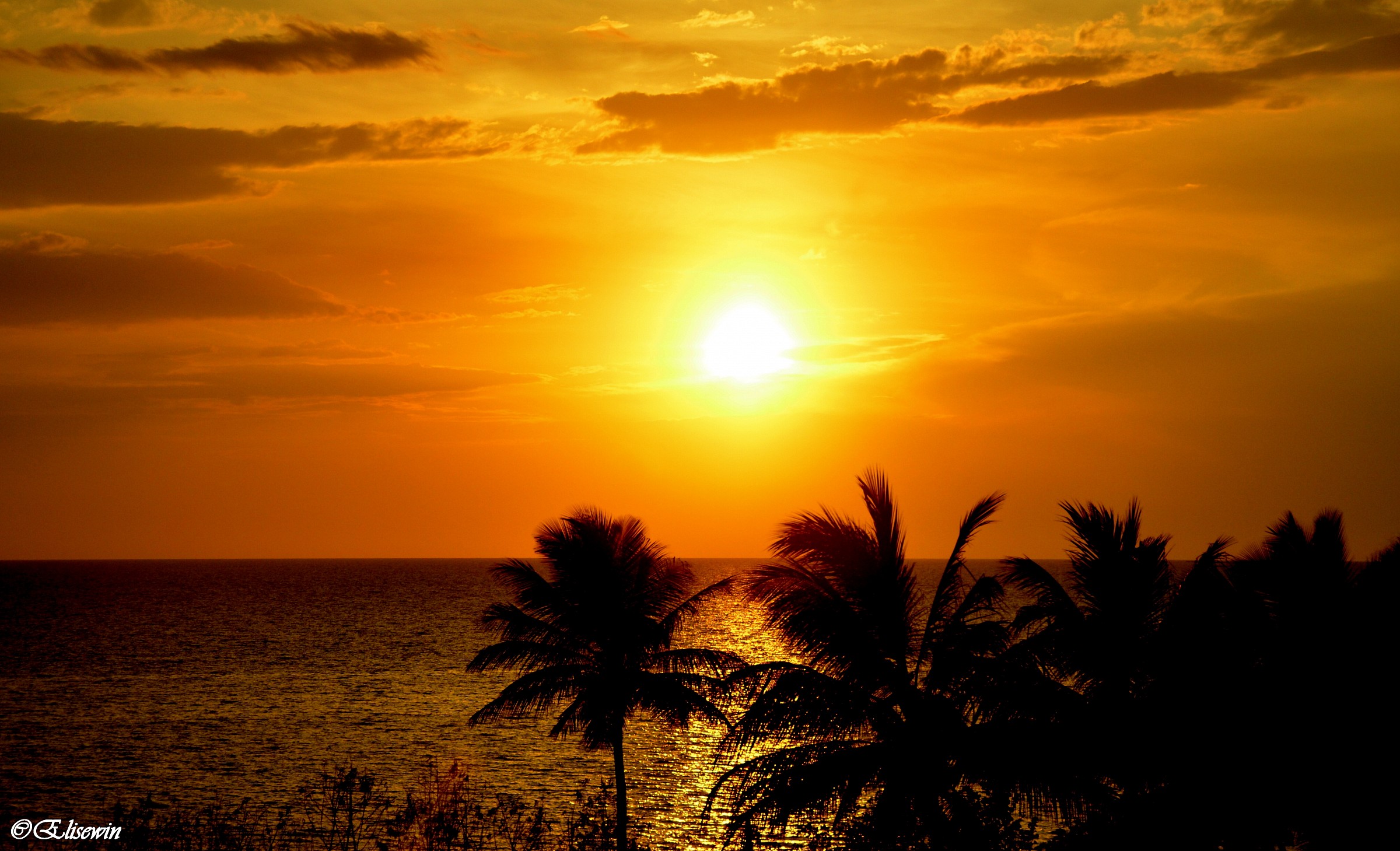 Silhouettes di un tramonto