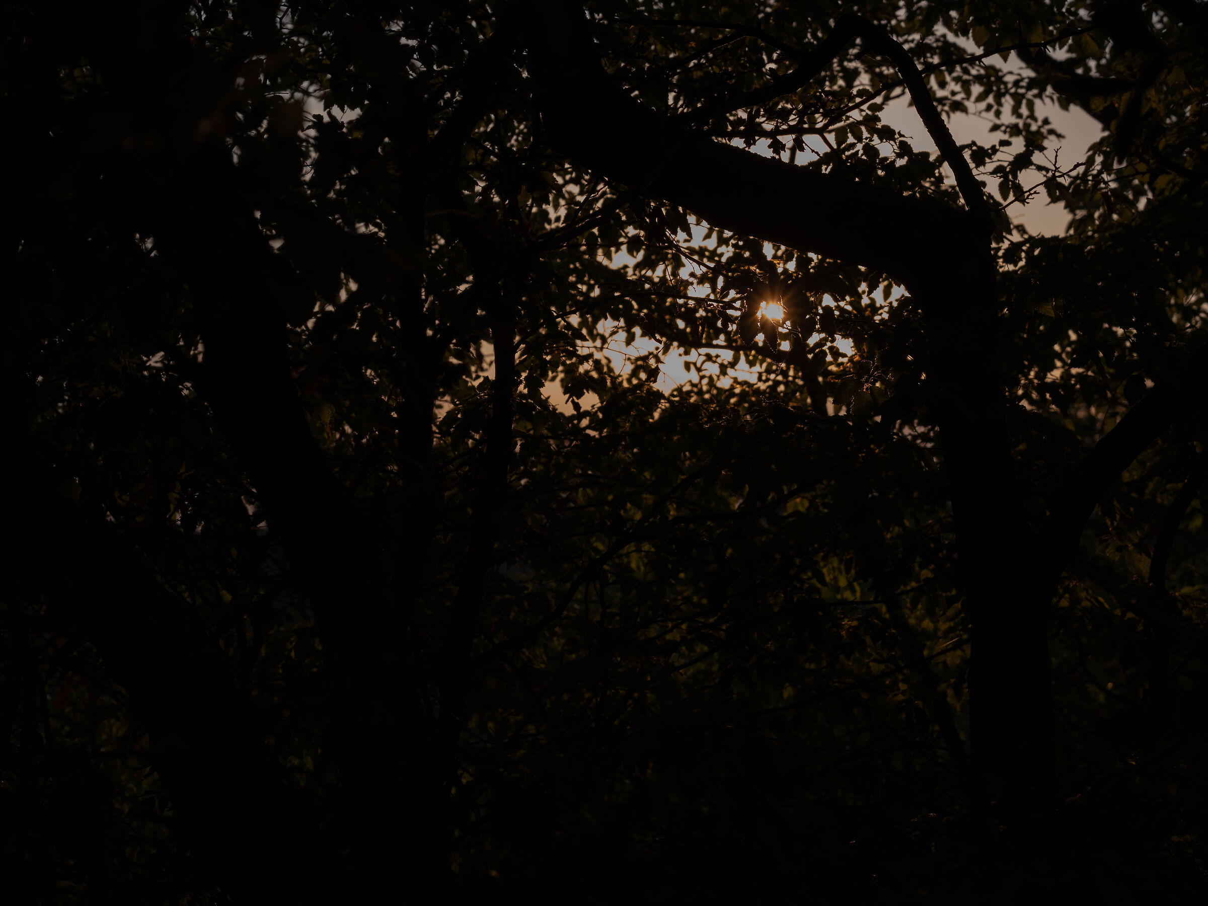 Piccolo tramonto interiore