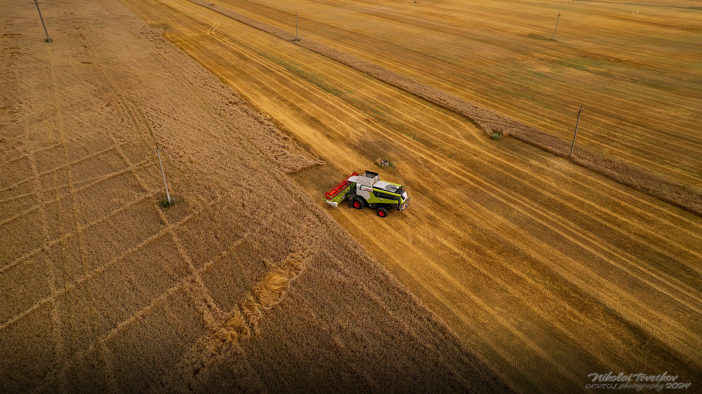 lonely harvester