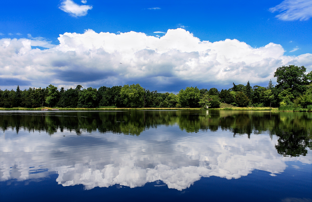 Clouds mirroring in the sea of Woerlitz