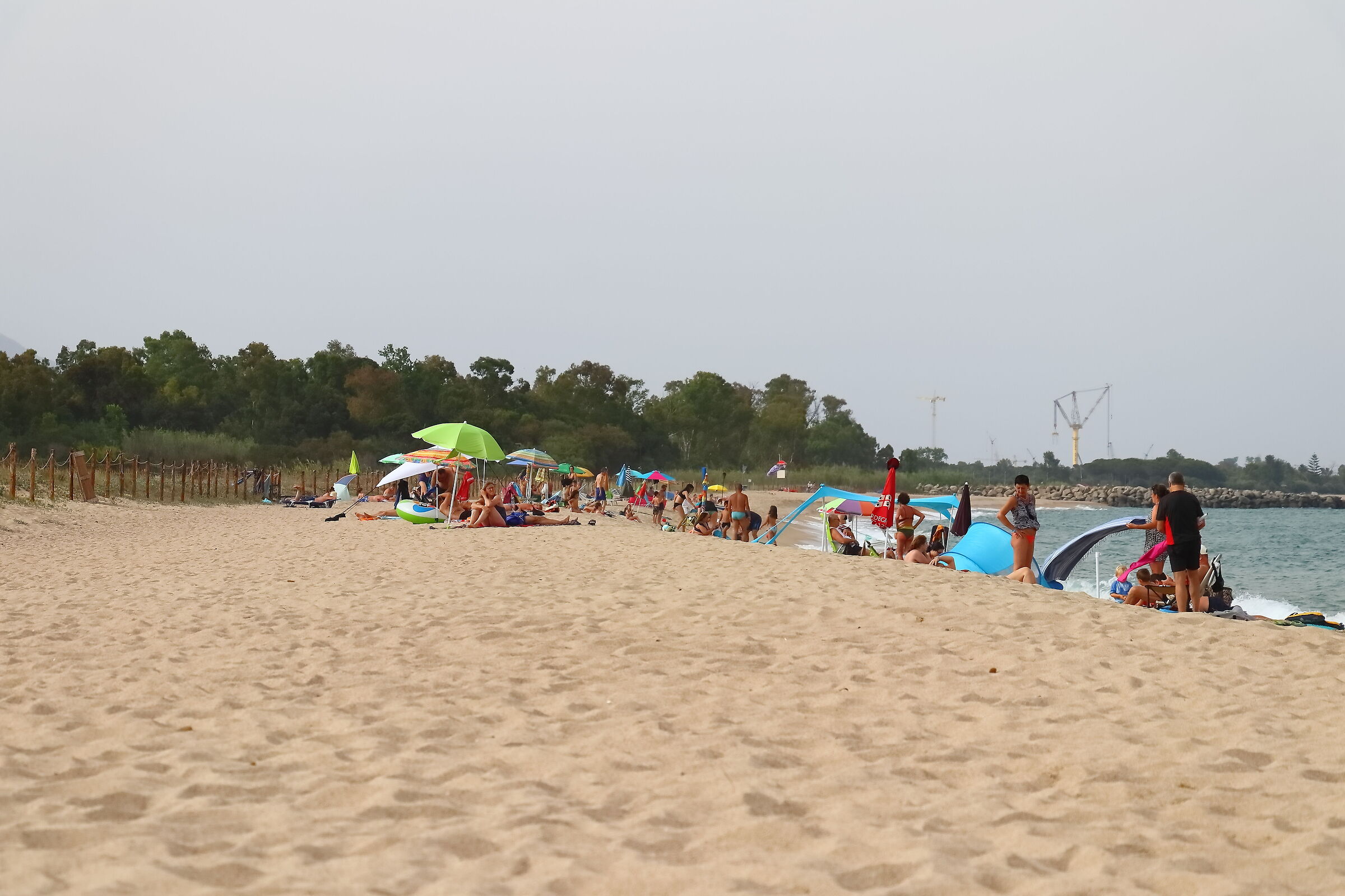 In spiaggia 18-06-2024 - 0477