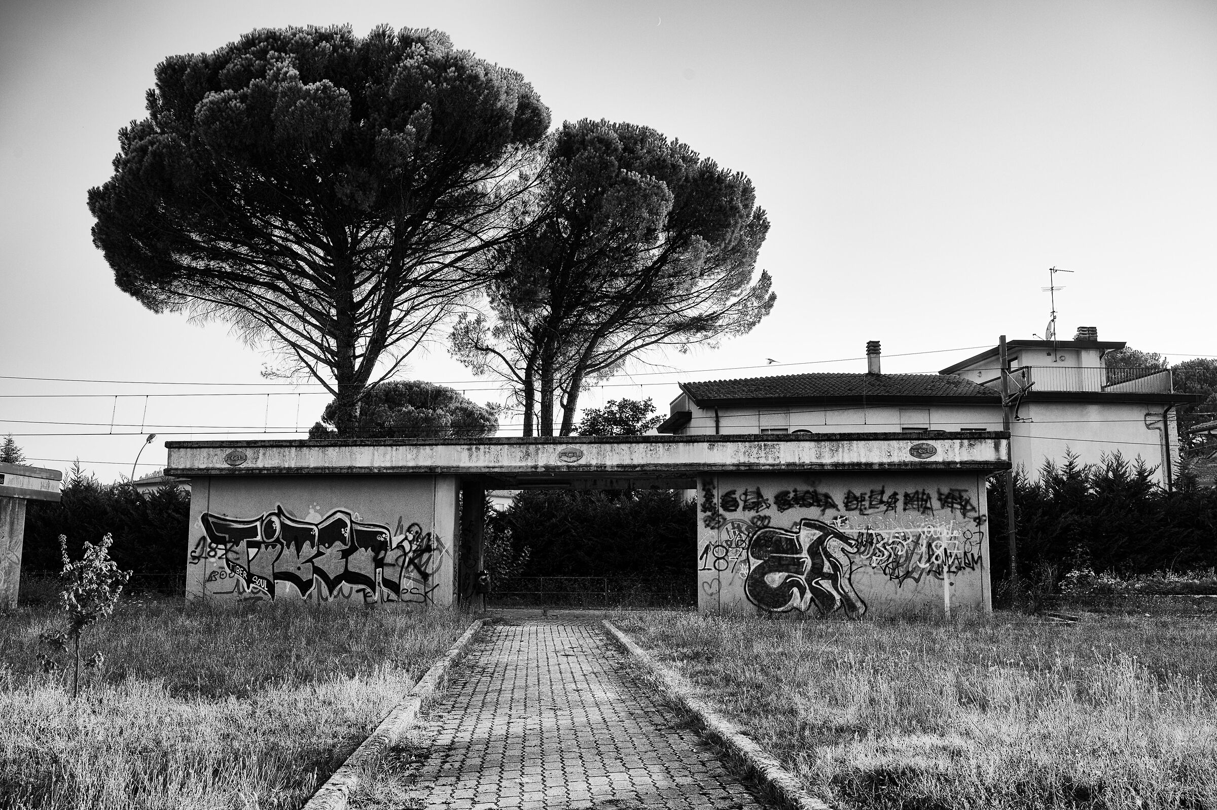 No Train Land...