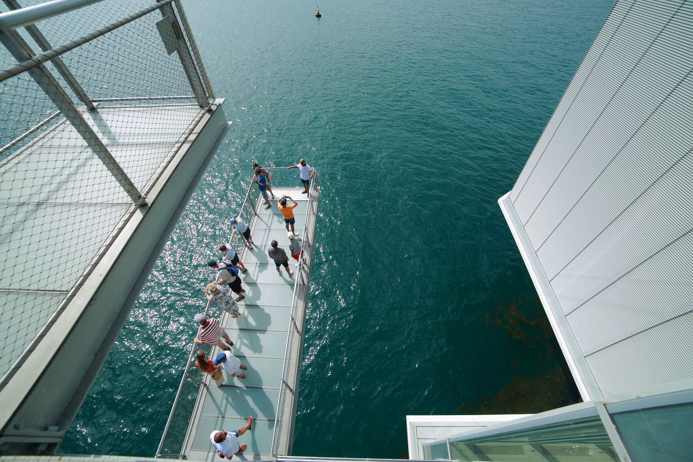 Un trampolino sul mare.