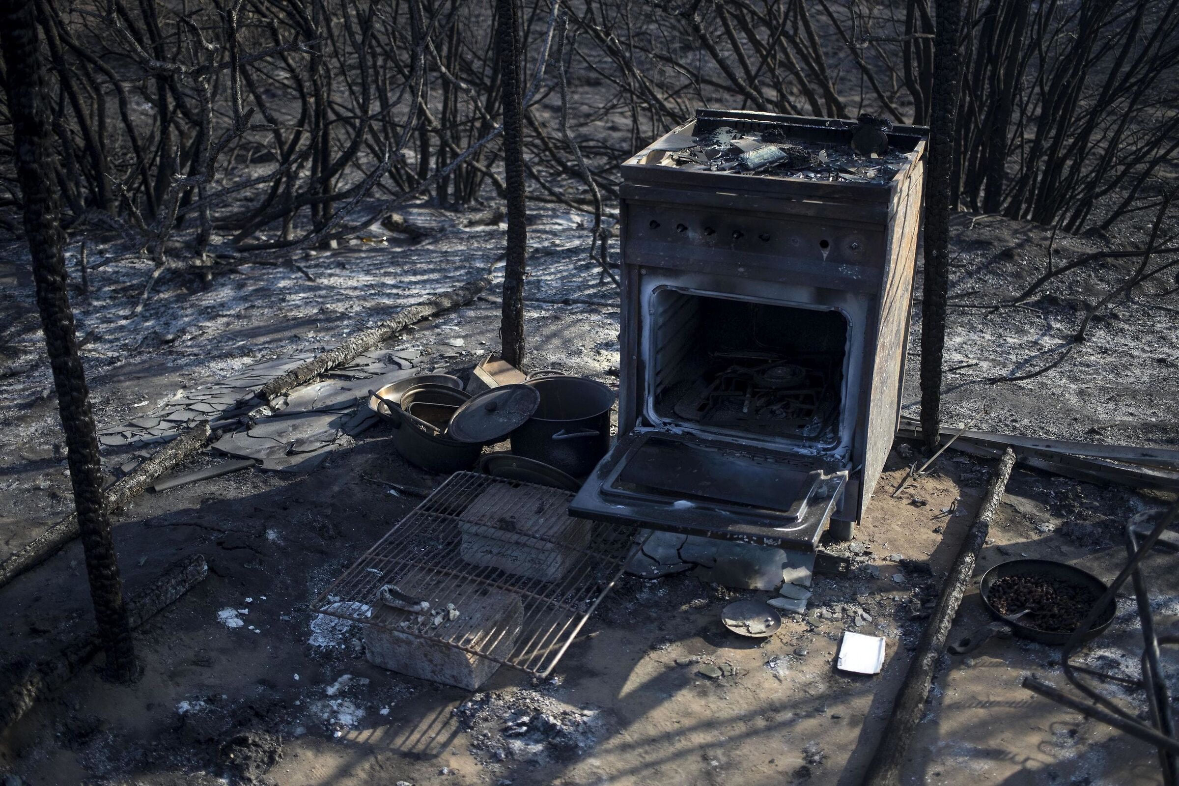 Effect or cause? (of human presence)