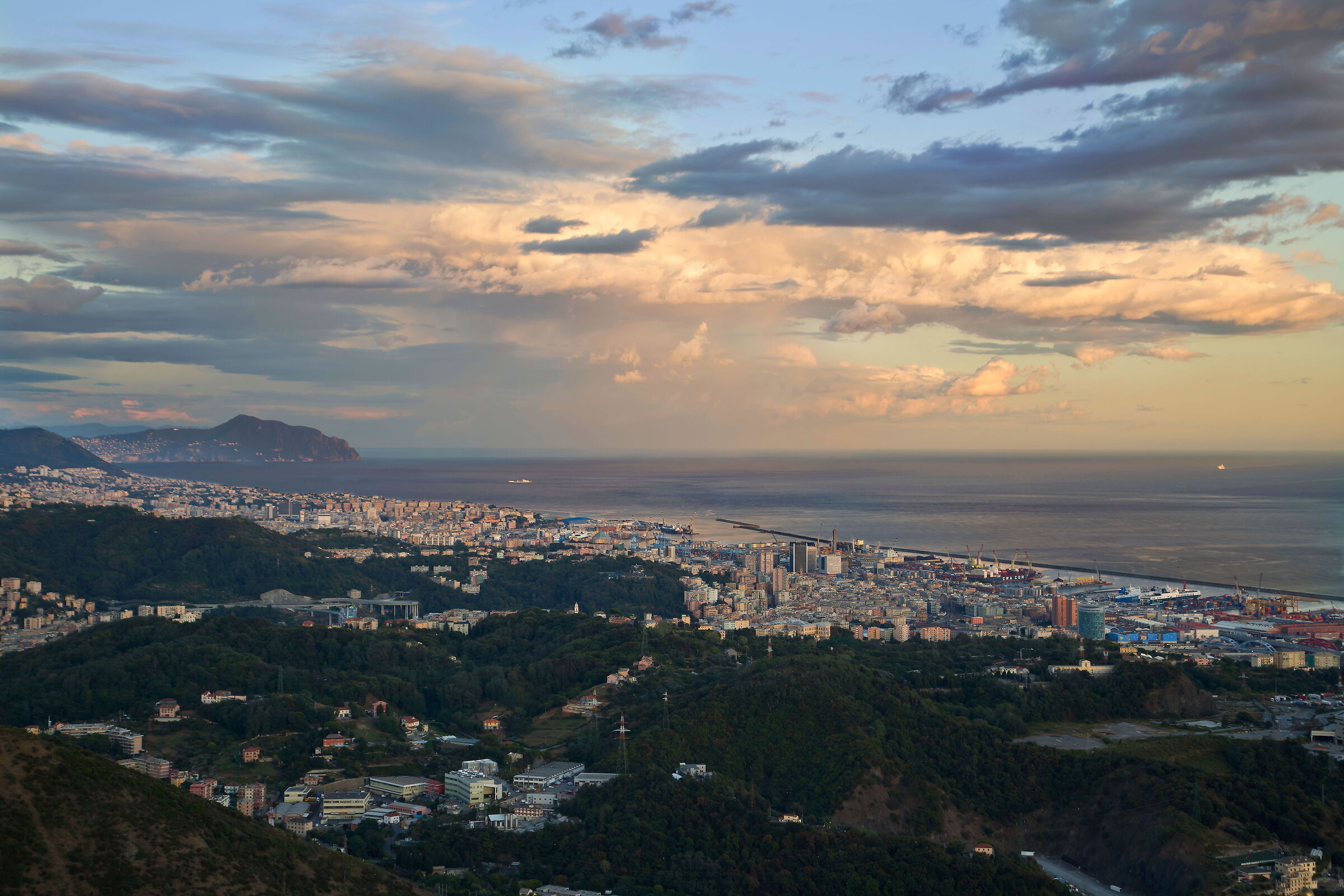 Genoa