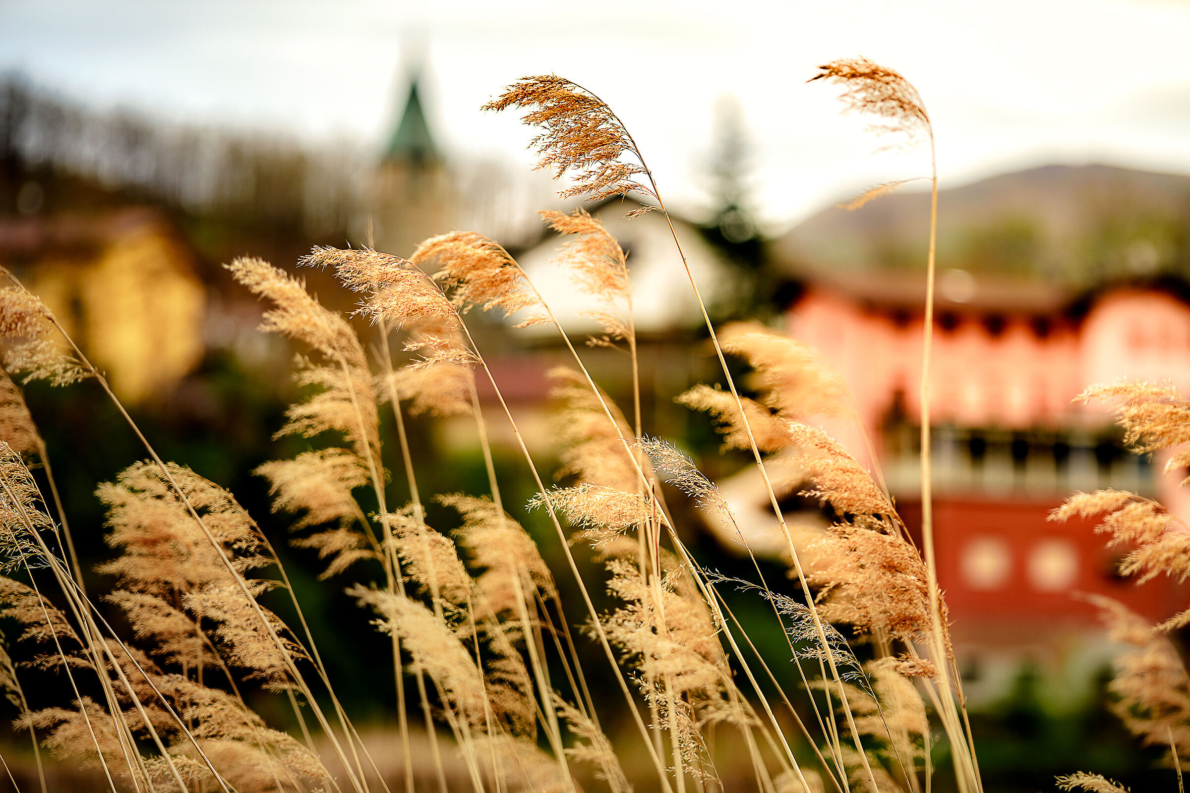 Untitled Photo