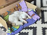 [Fotografia]