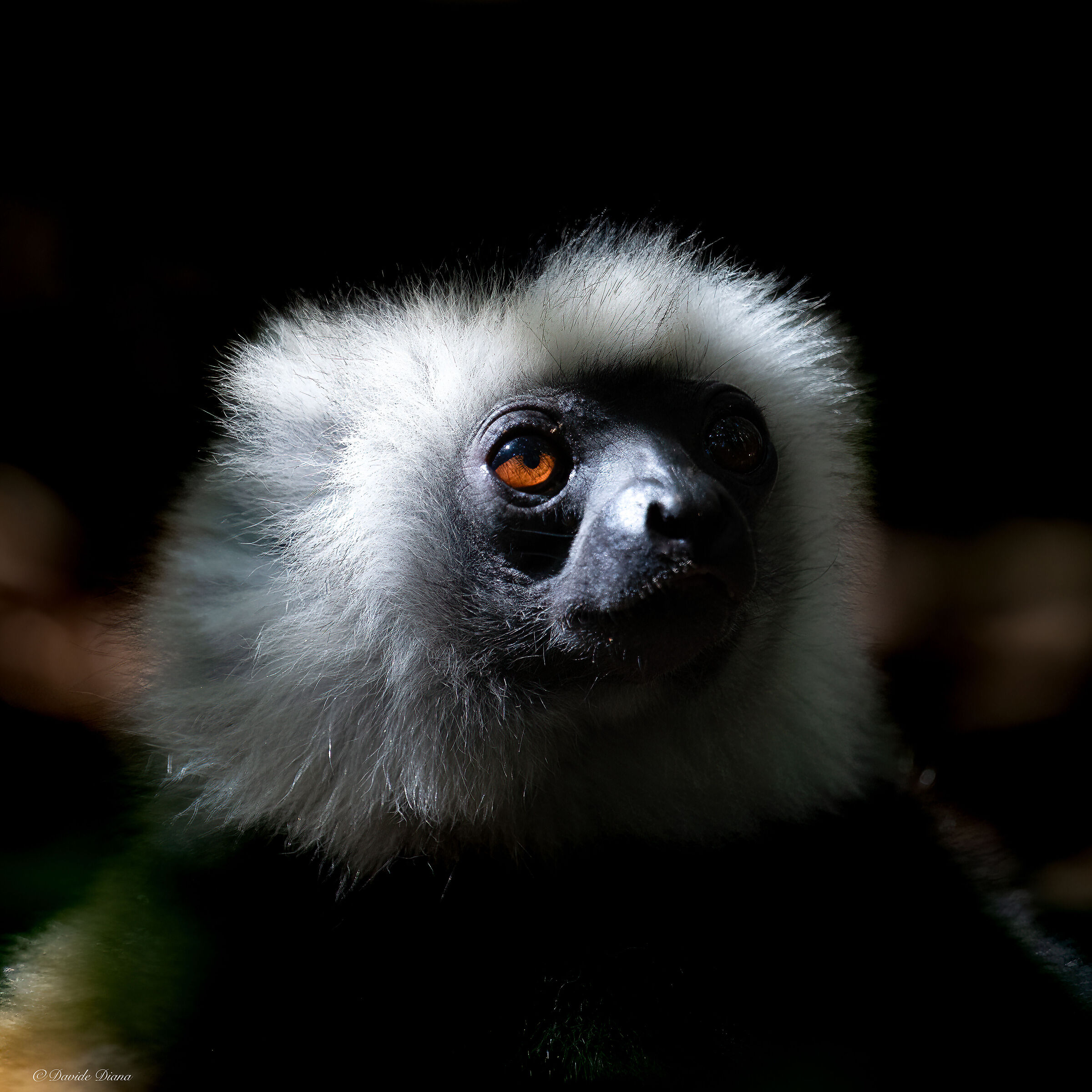Madagascar