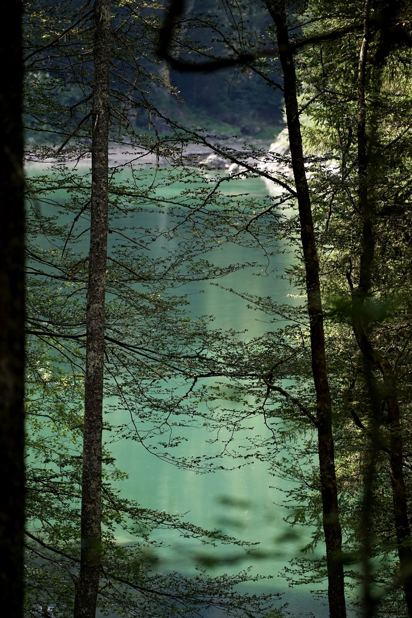 Lower Lake of Fusine