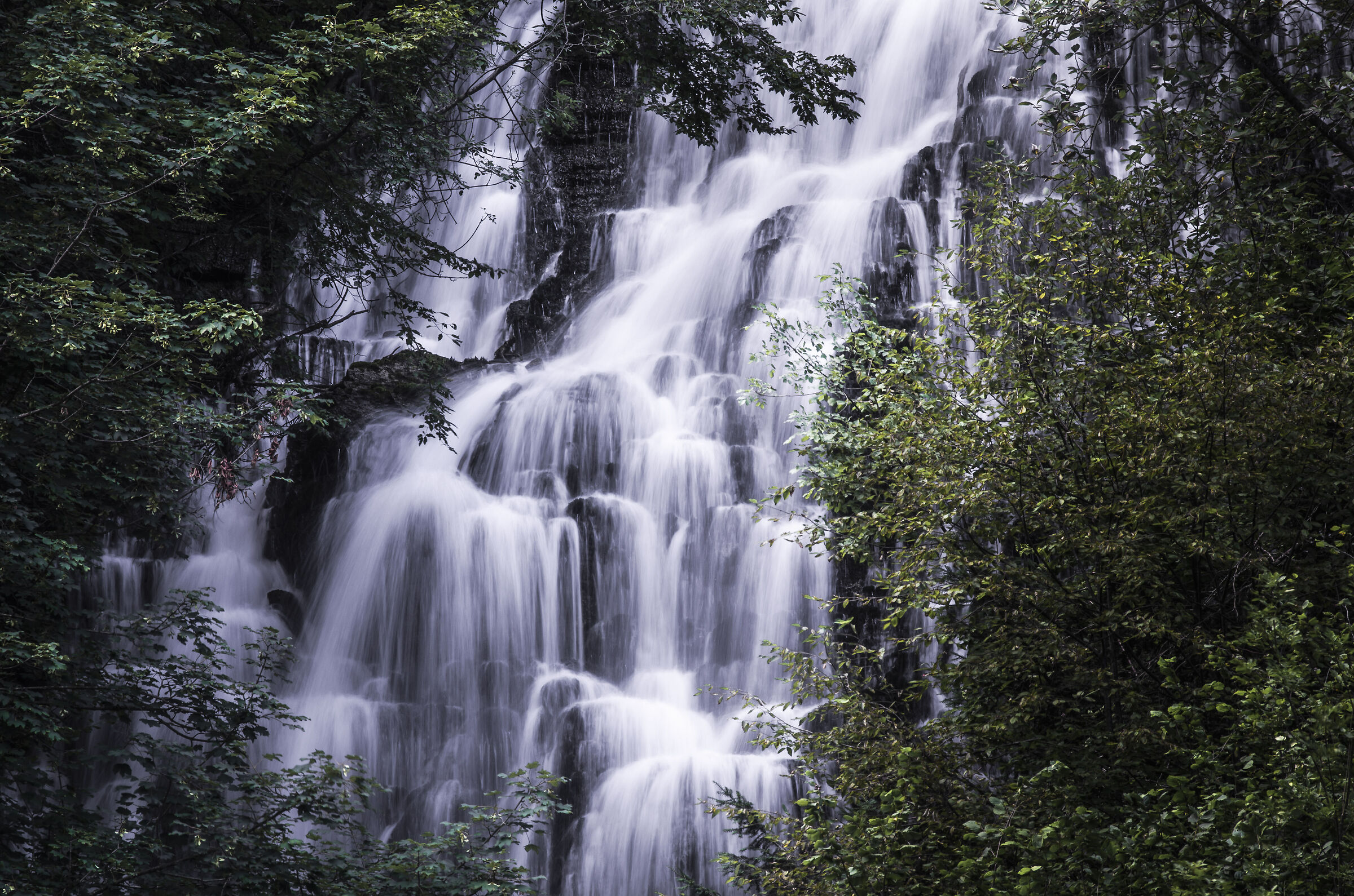 Endless falling (color version)