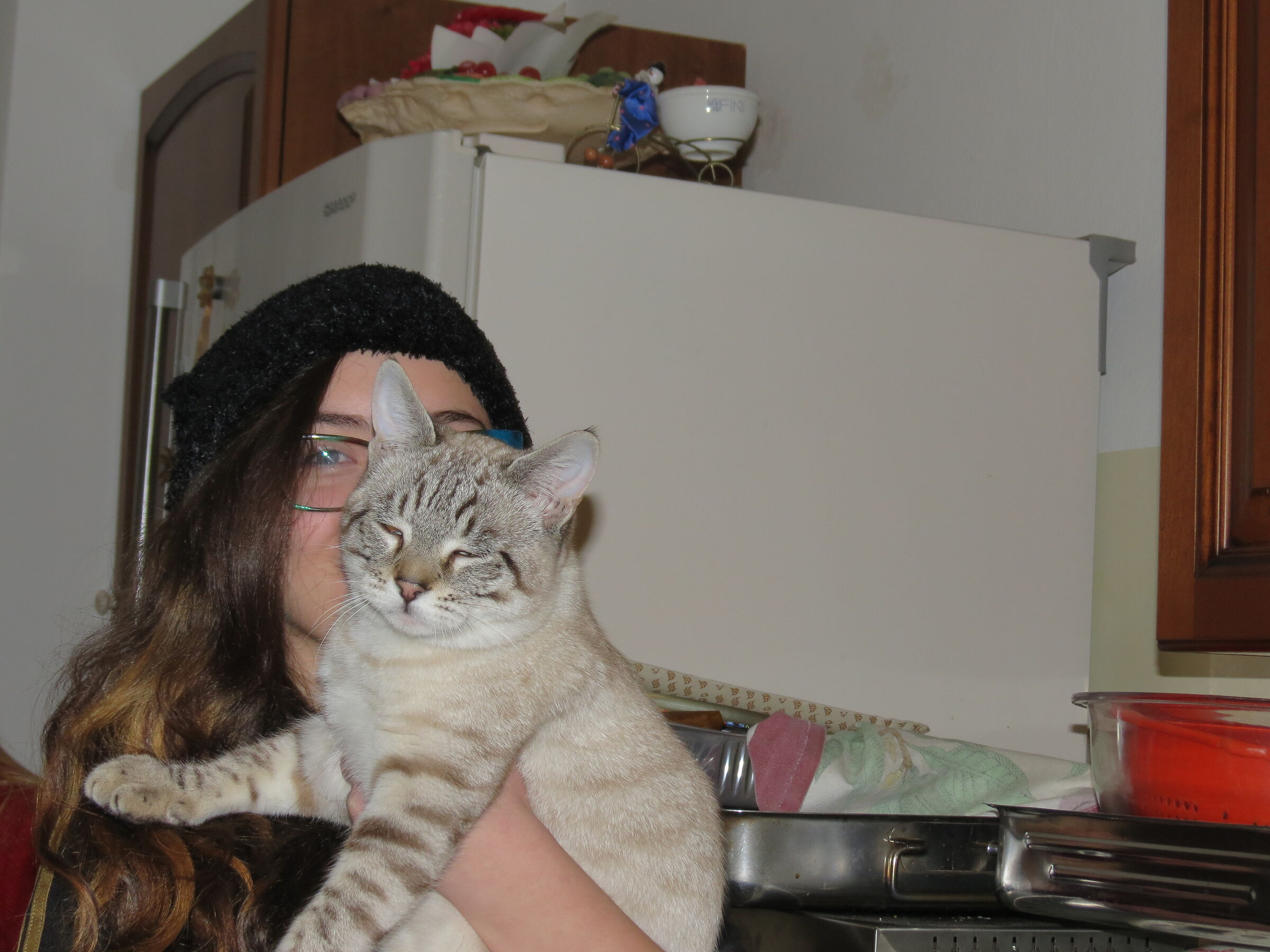 Nascondersi dietro al Gatto