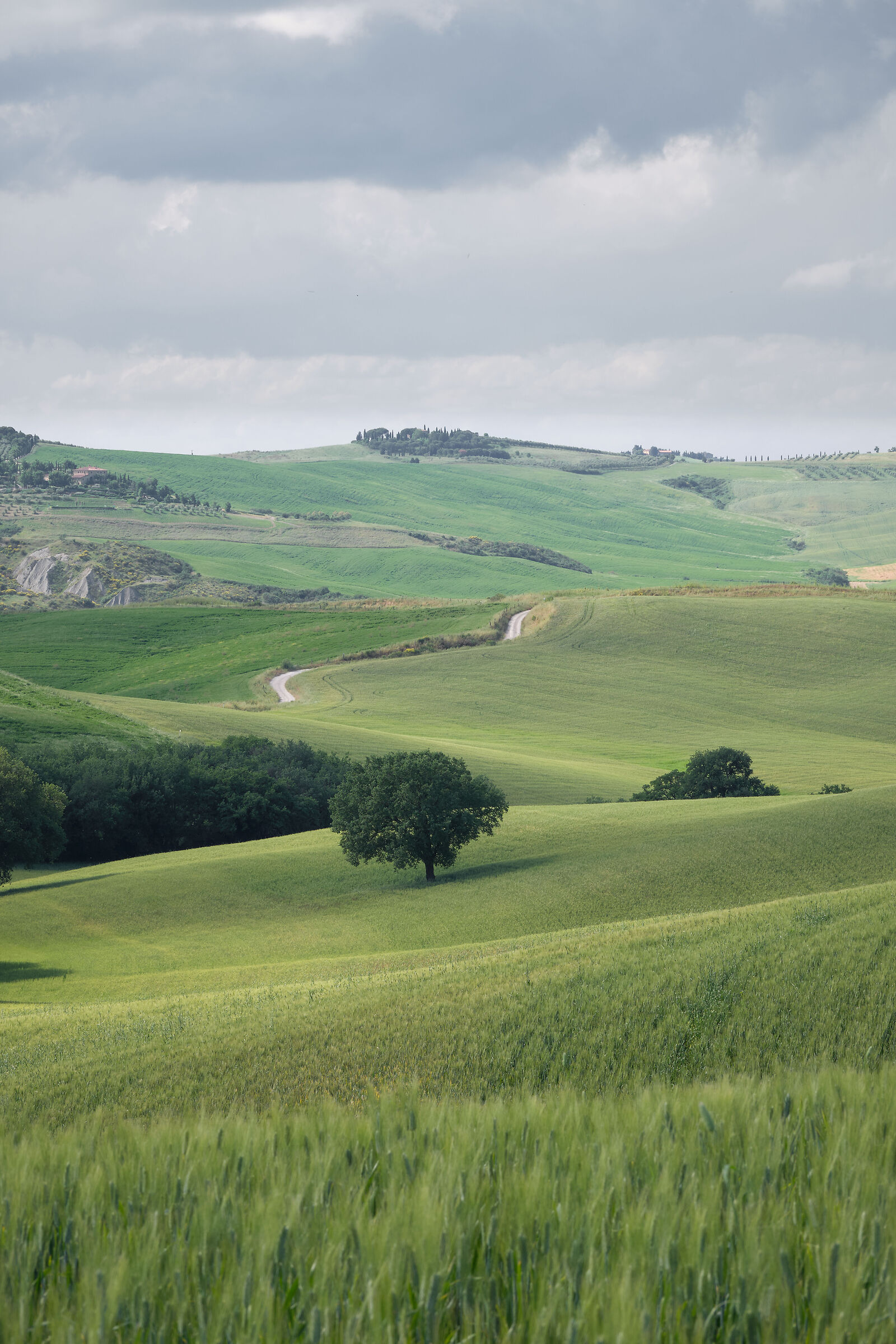 Green hills