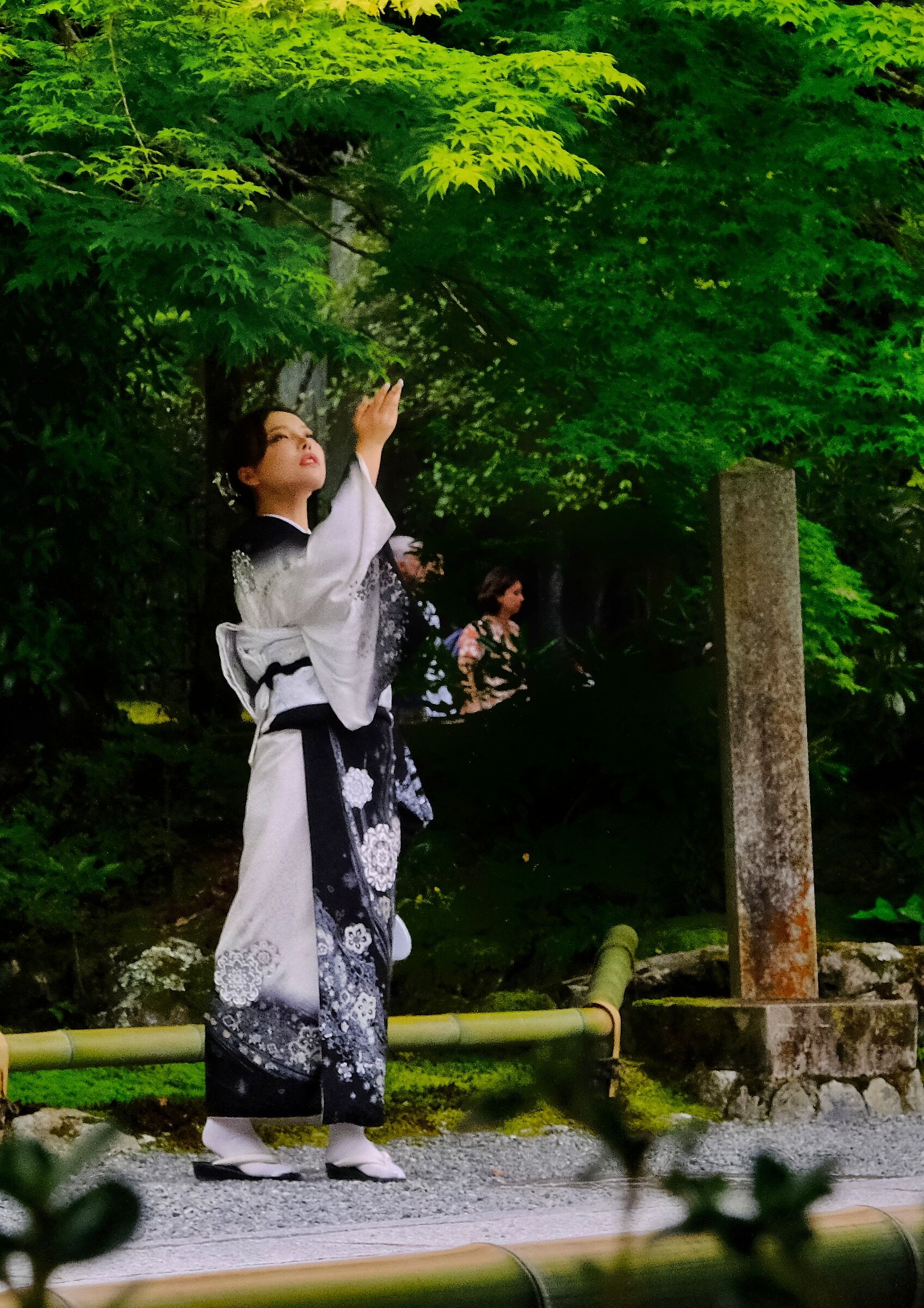 Il caso a Kyoto