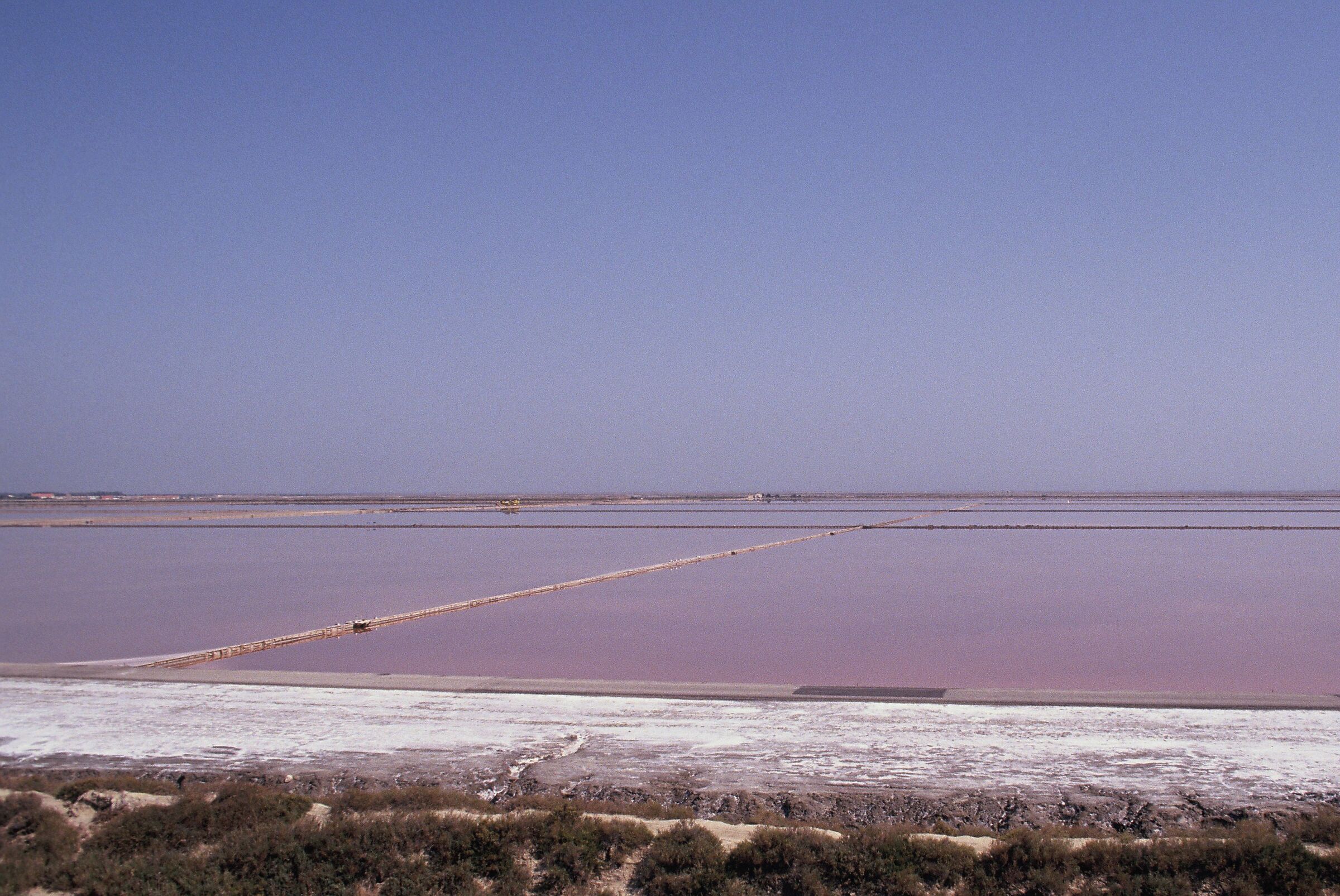 Camargue Le saline