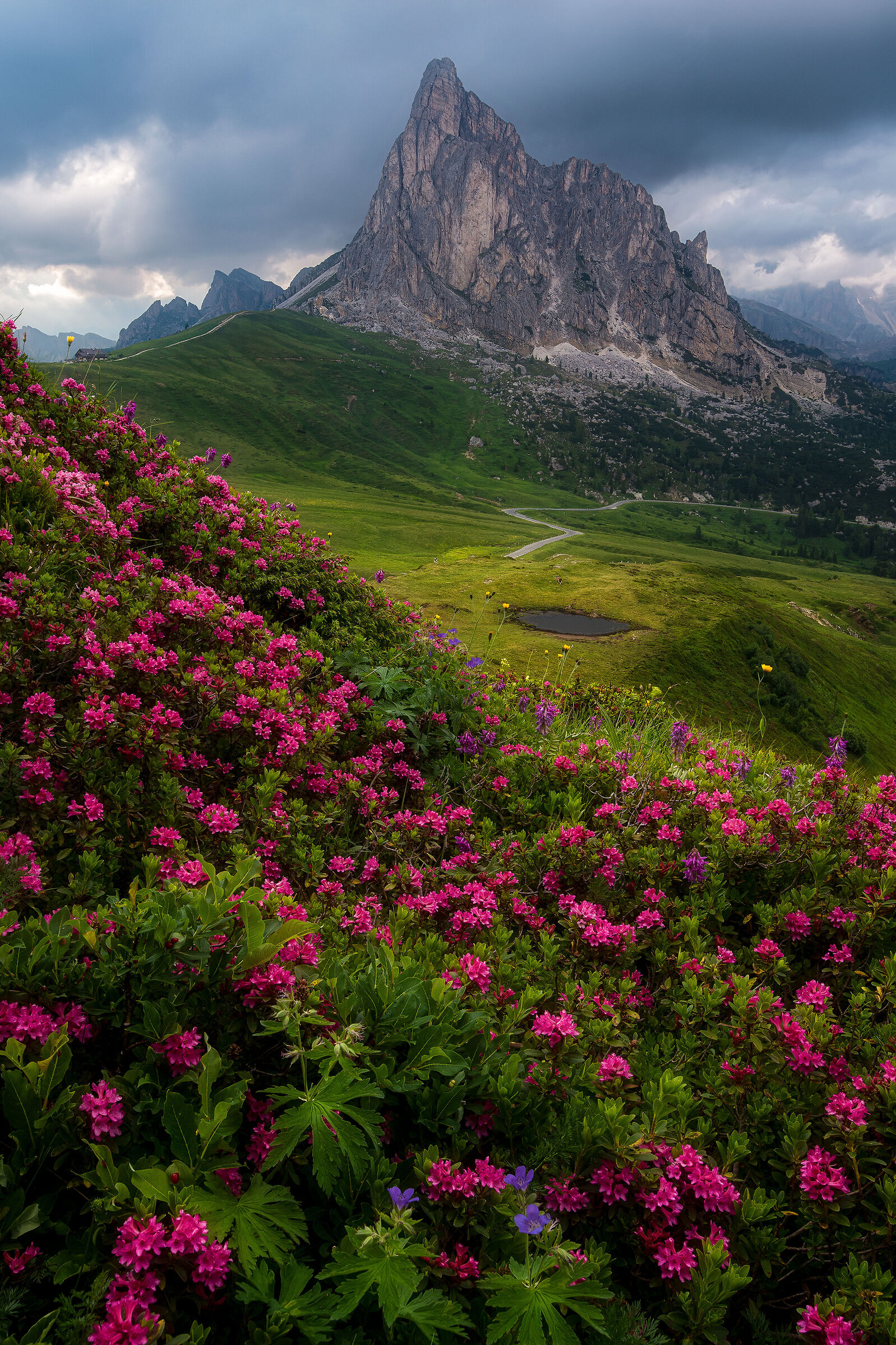 The colors of Passo Giau