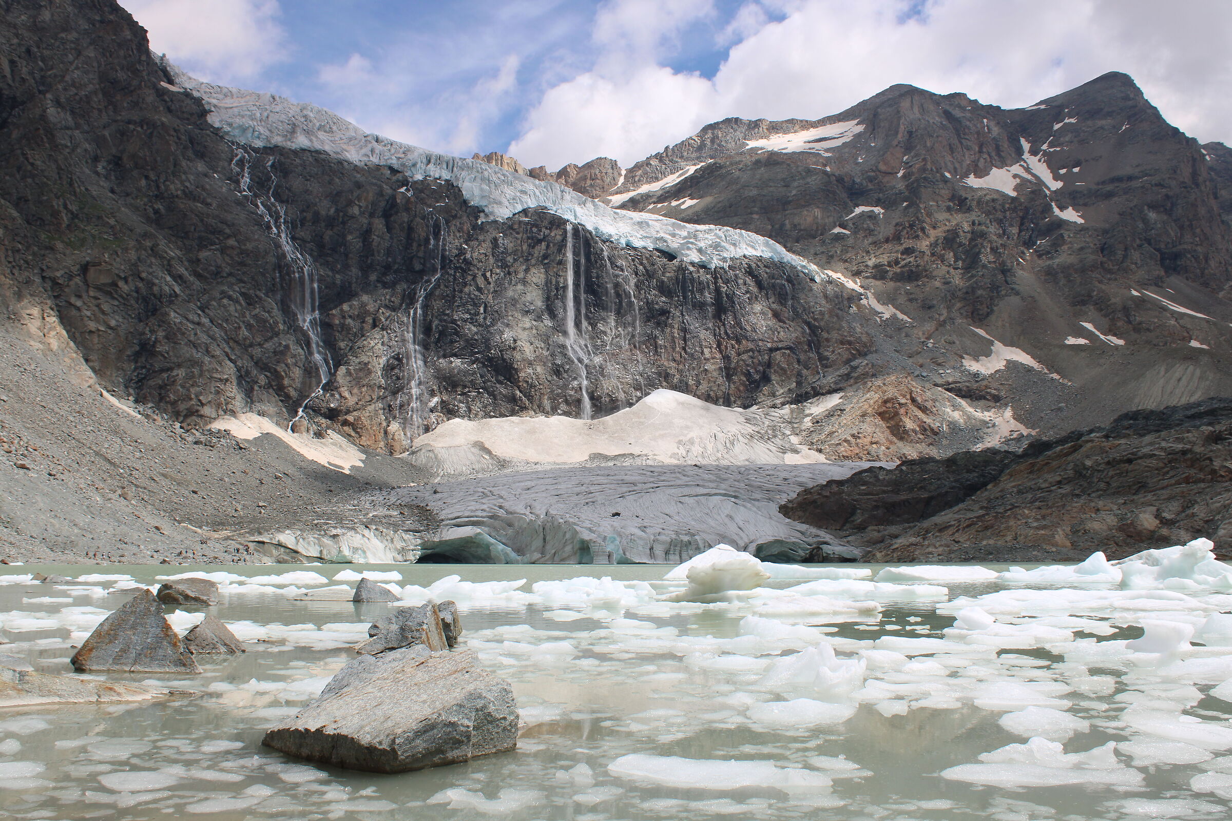 Fellaria Glacier East