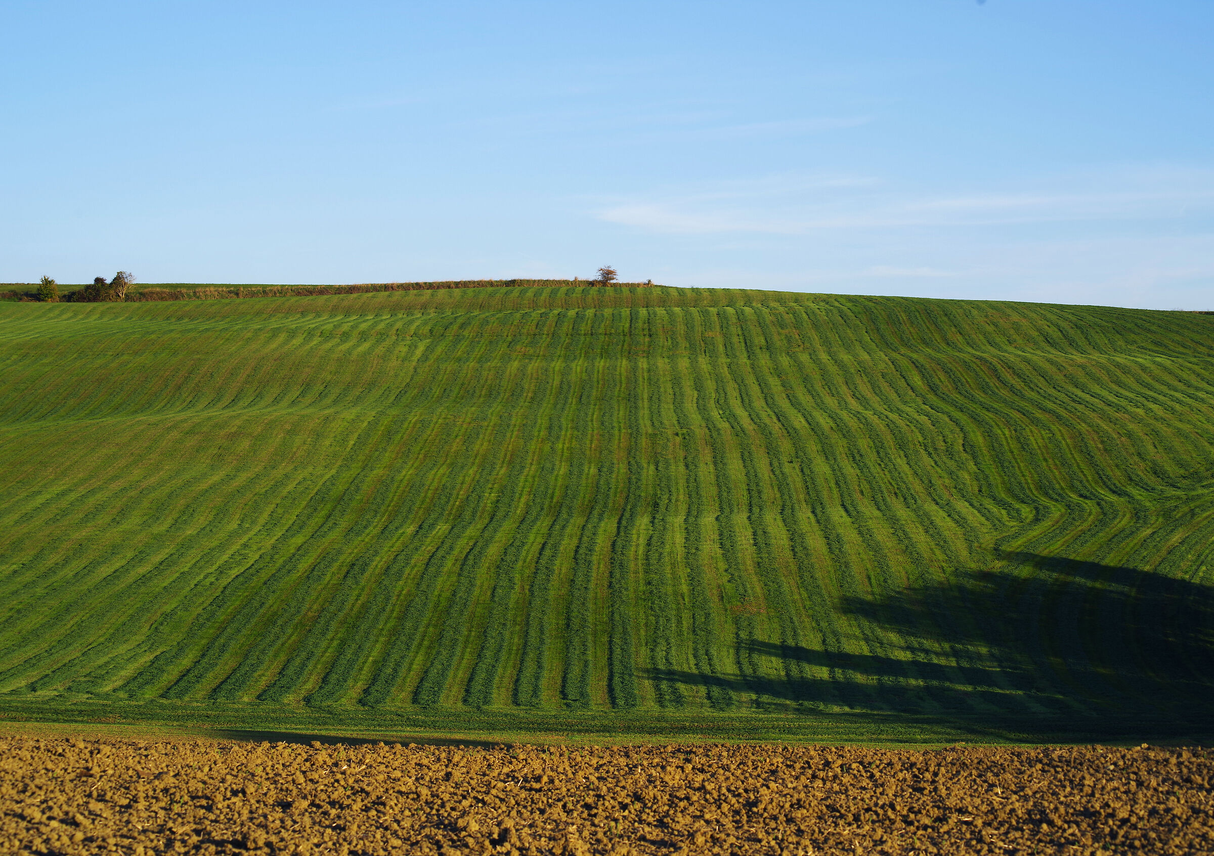 Hills mugellane_Borgo San Lorenzo