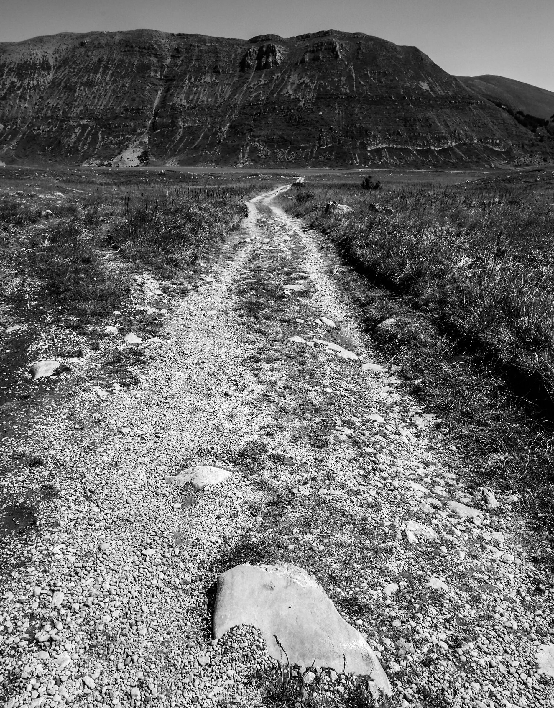 Tracks