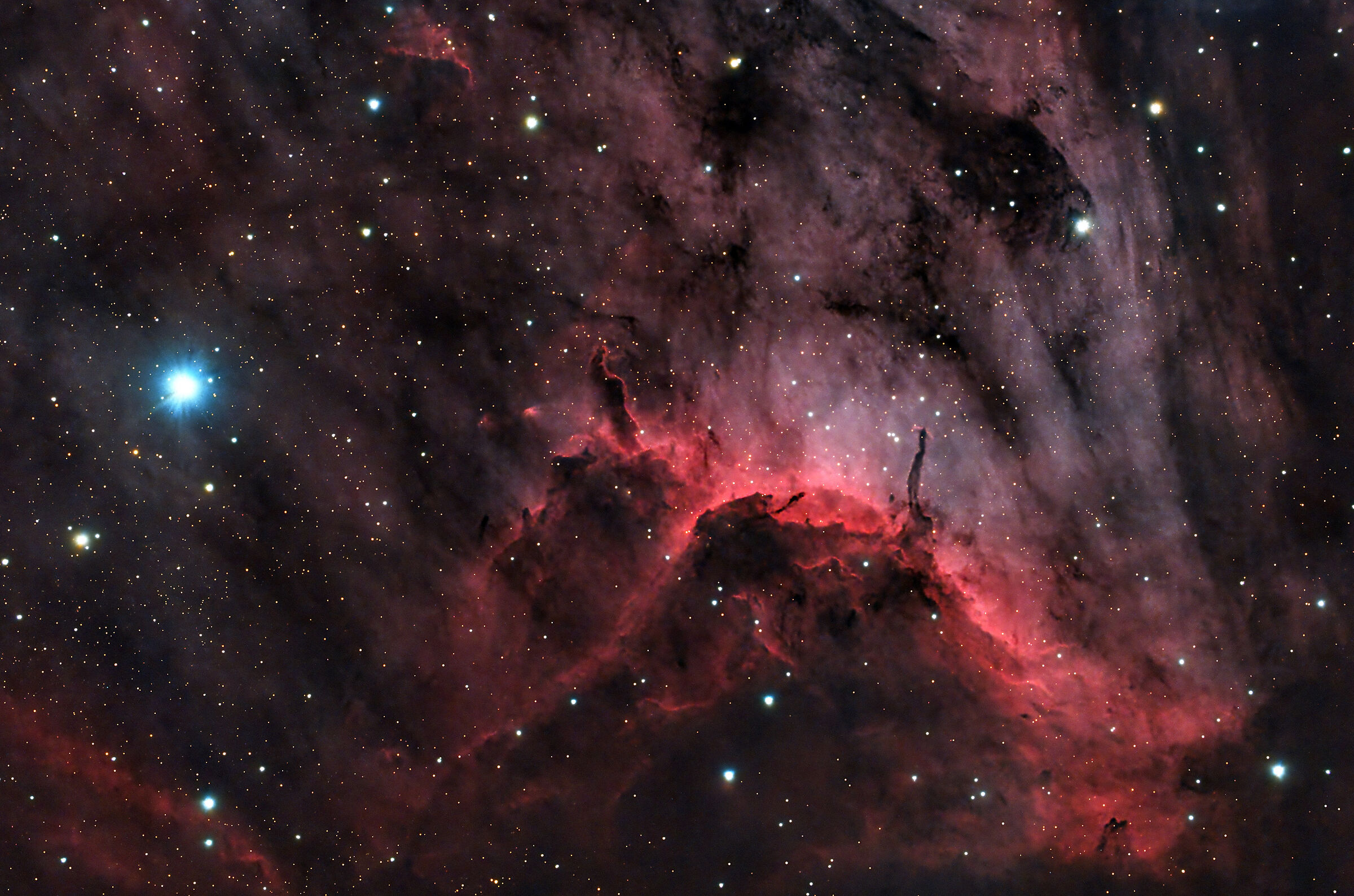 Pelican Nebula in the constellation Cygnus