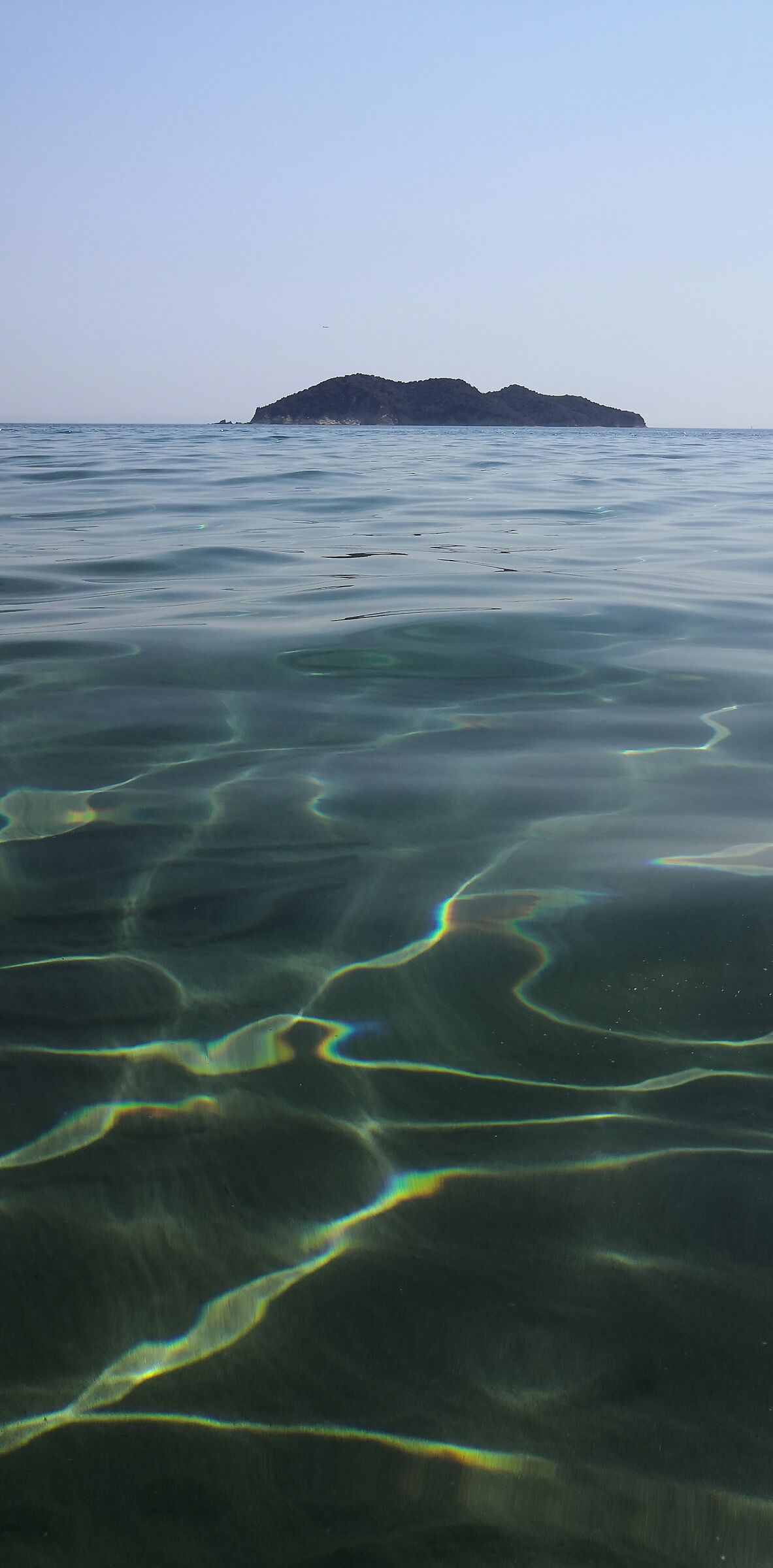 Zante. Yellow highlights