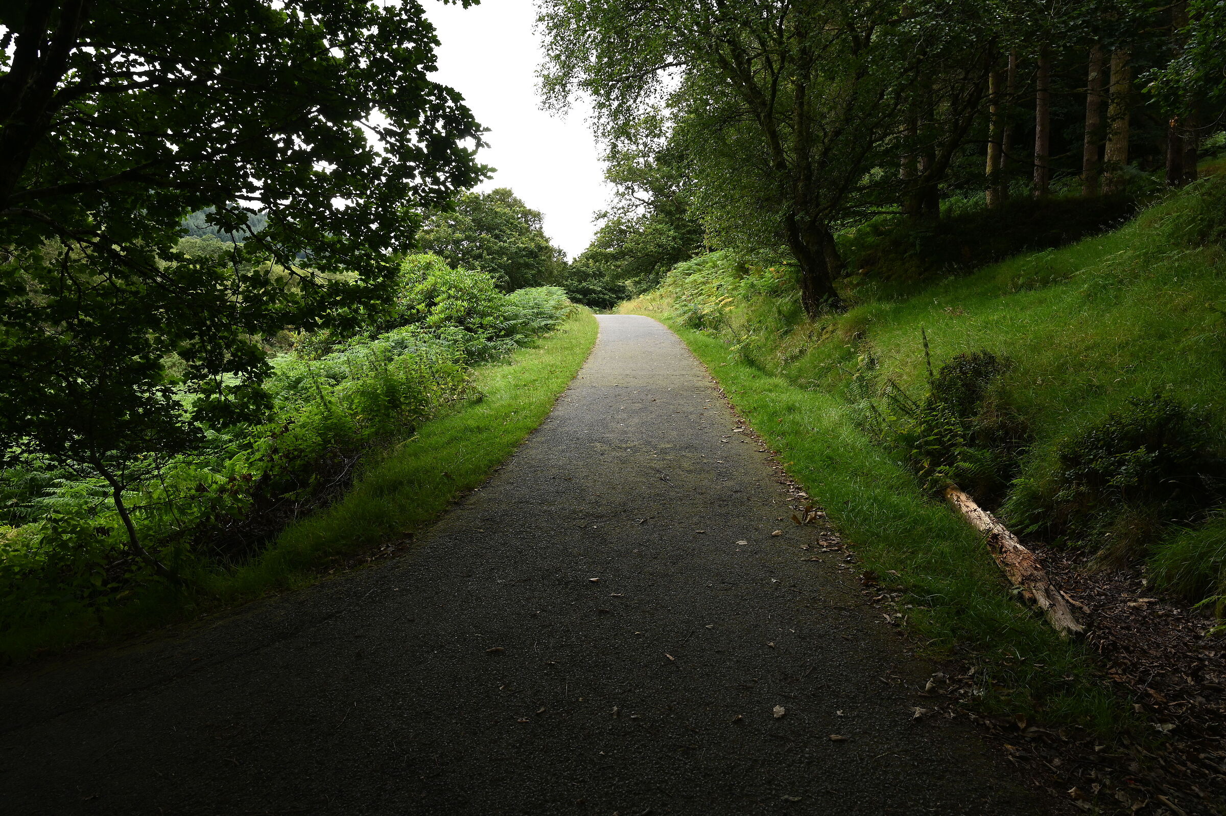 Mysterious path