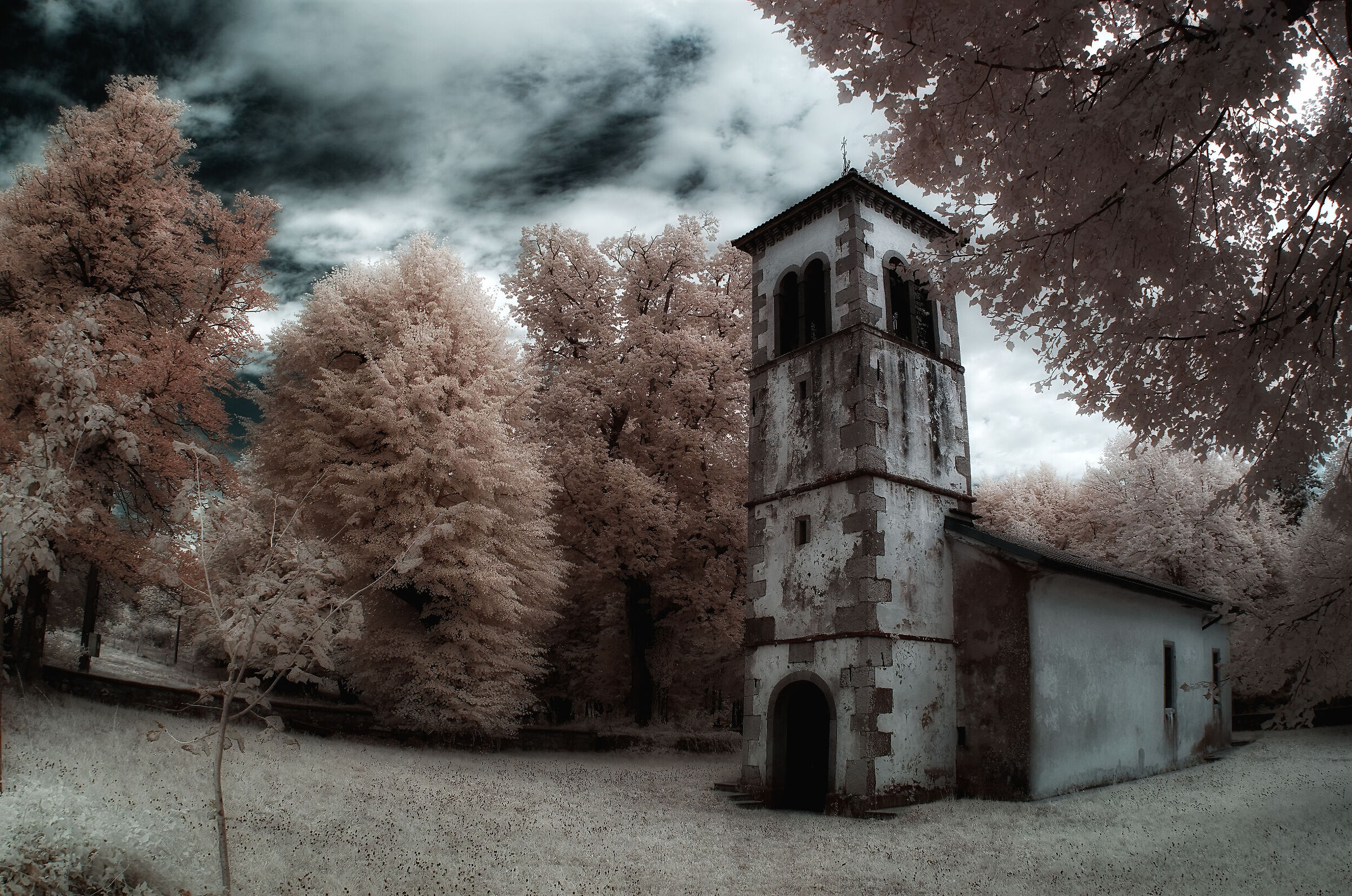 Interpretation of reality