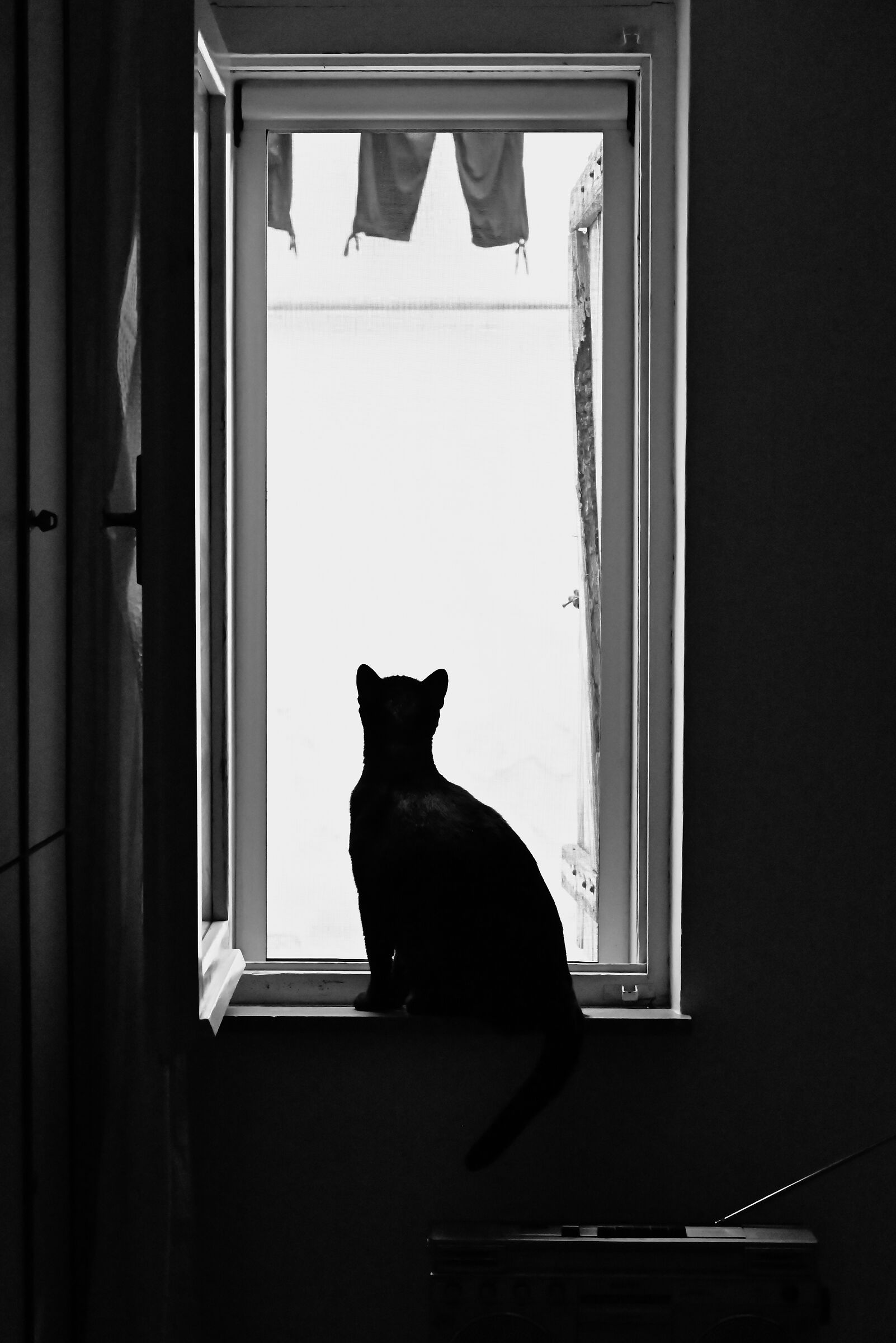 Untitled Photo