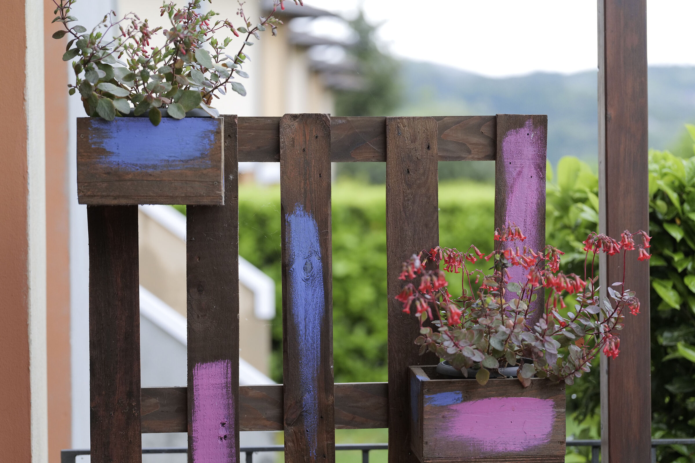 prova Sigma 105 Macro Art