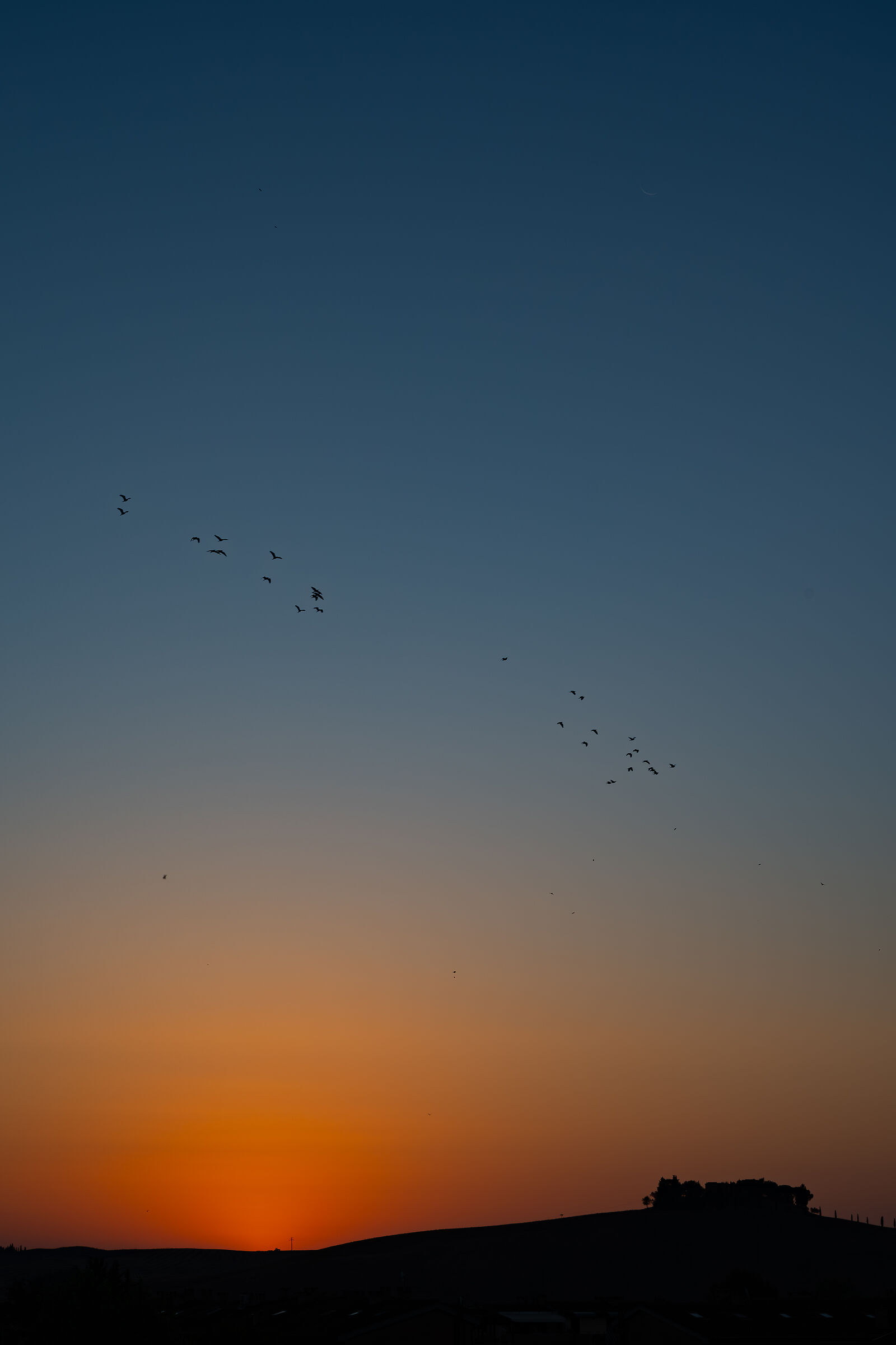 Attimi prima dell'alba