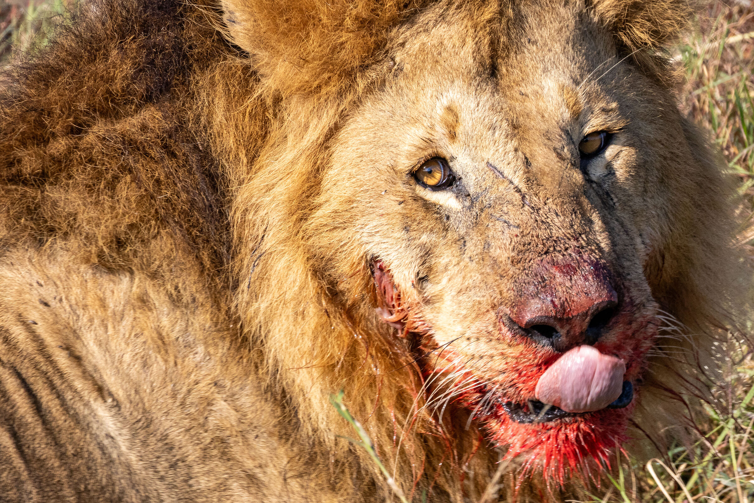 Mouth-watering lunch...