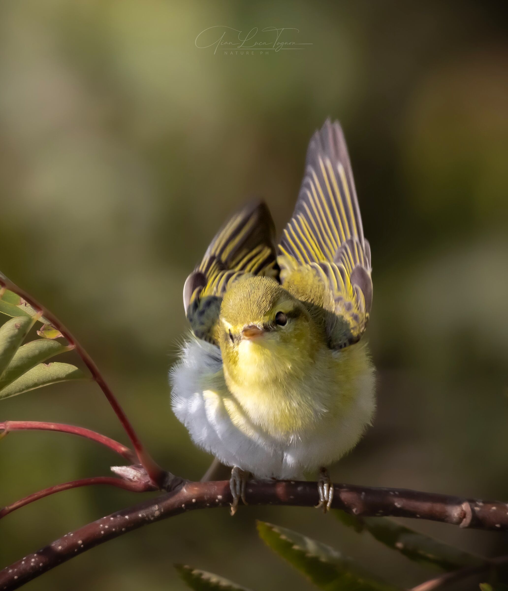 Happy to see you | lovely to see you