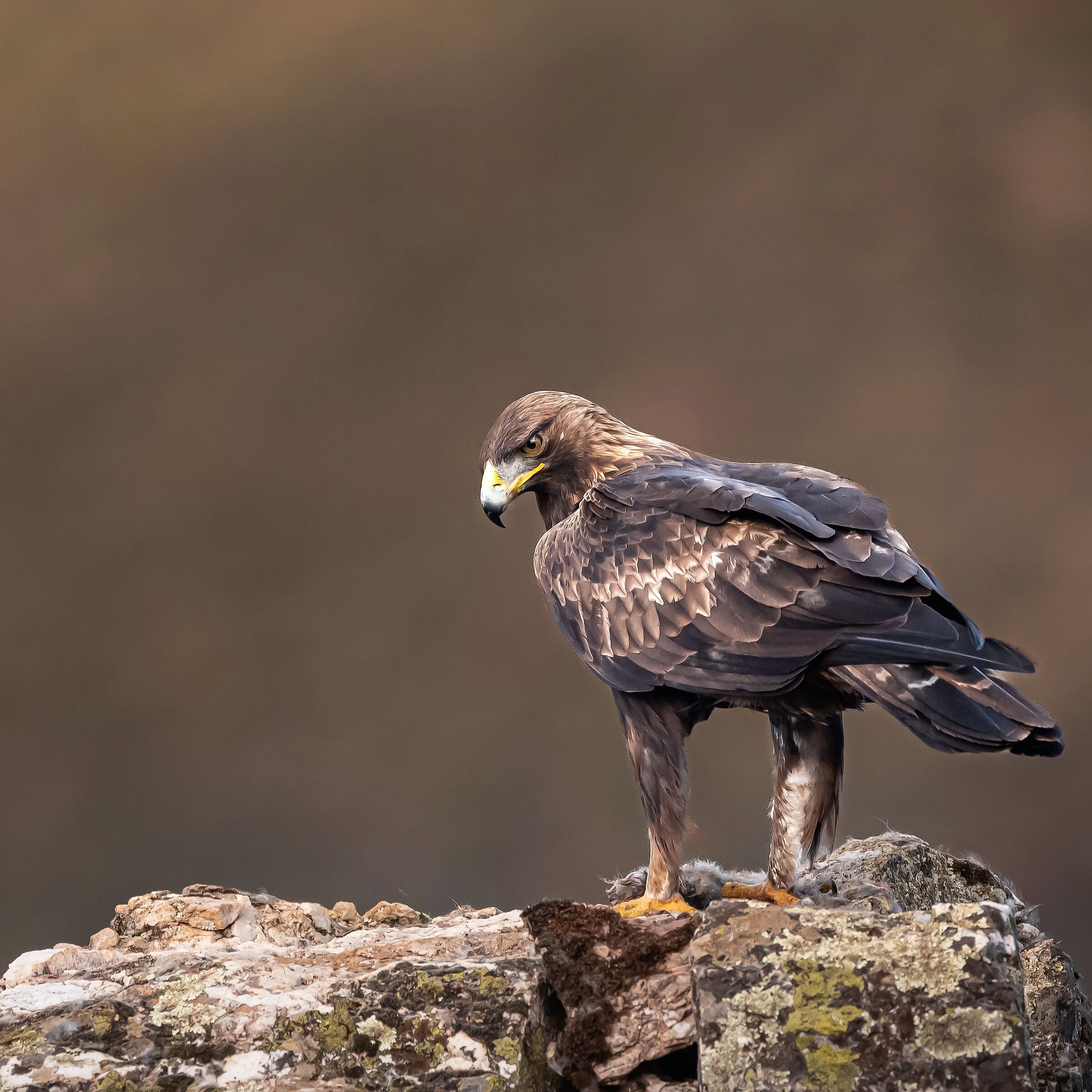 i pensieri, in genere, sono peggiori di noi stessi