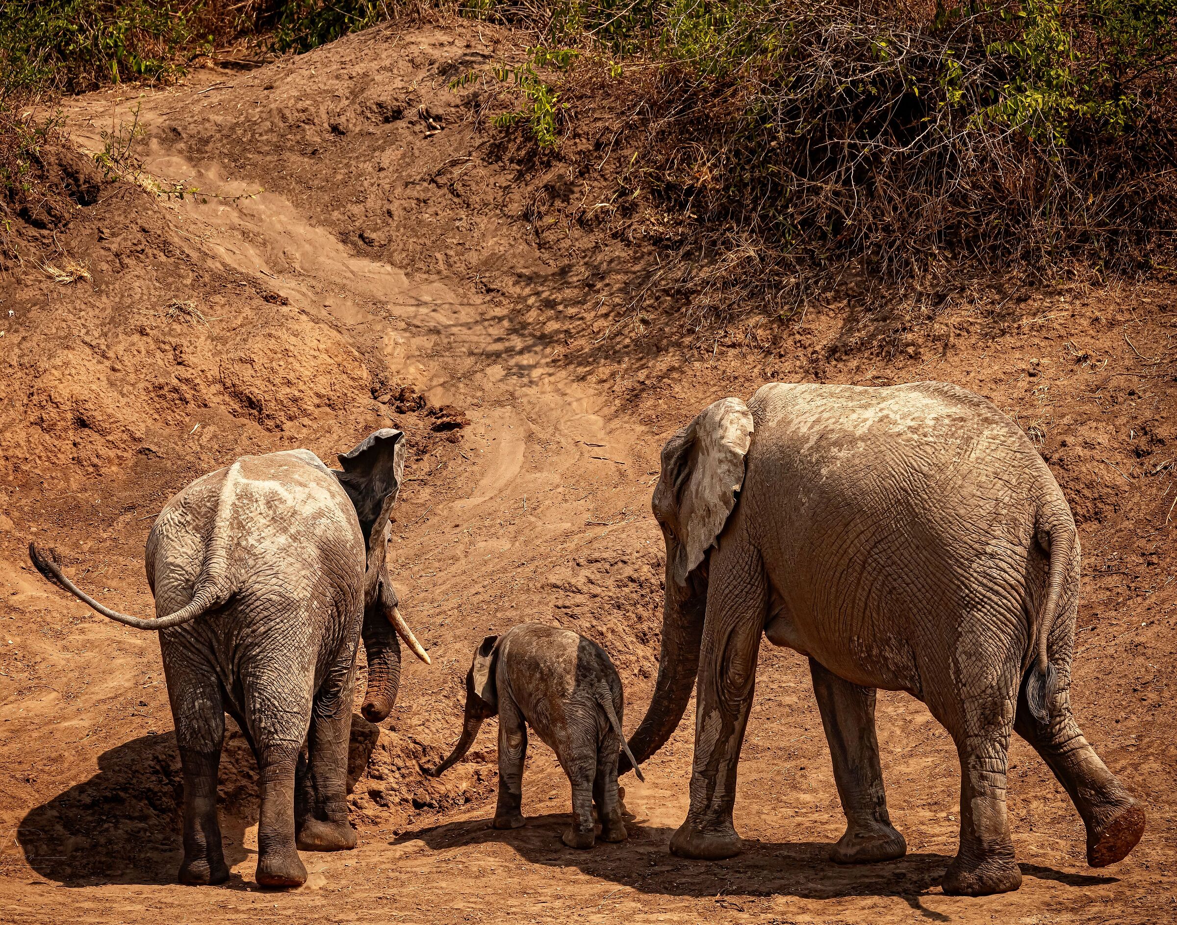 it's time to go home