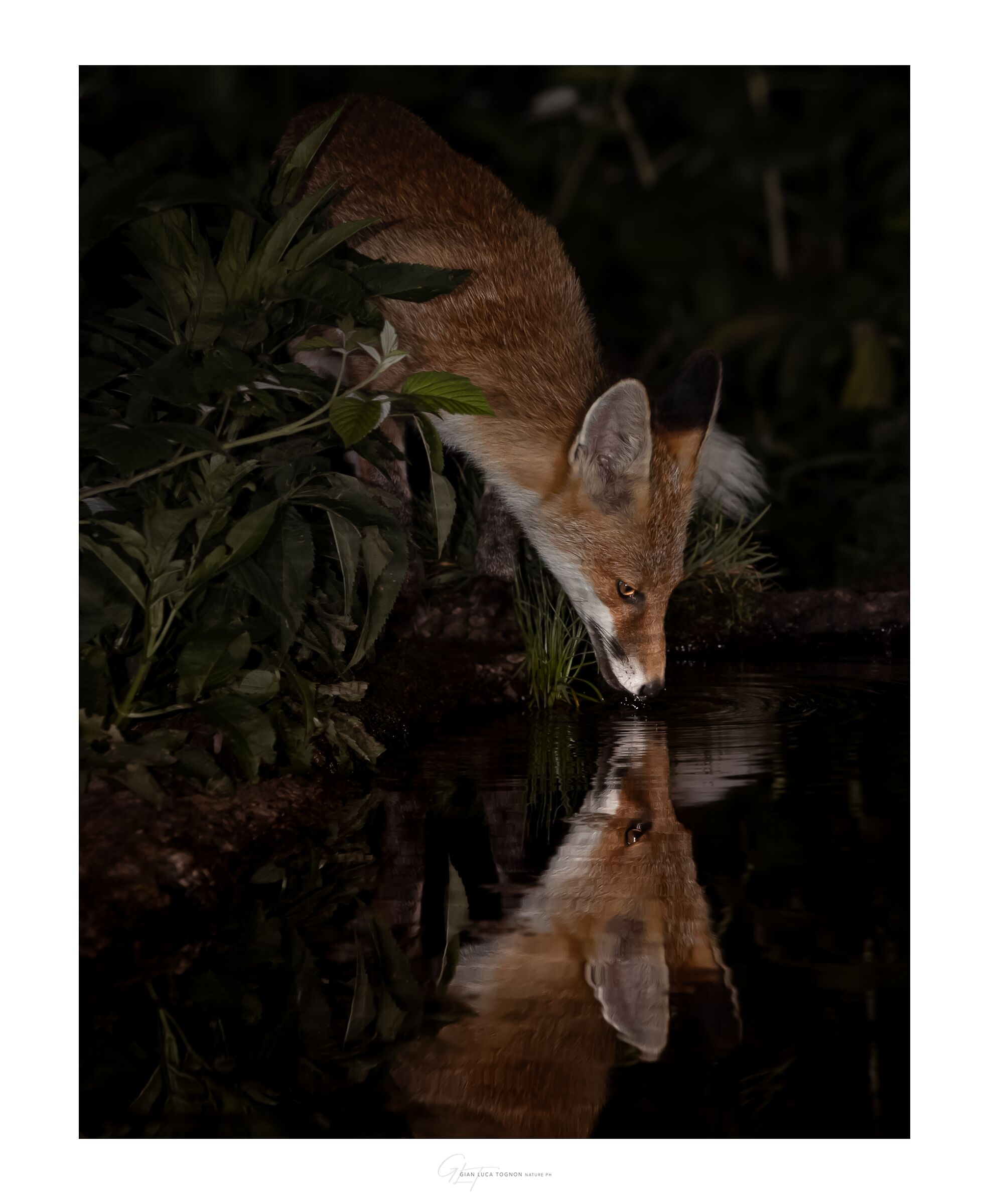 sfiorar di labbra | brushing of lips