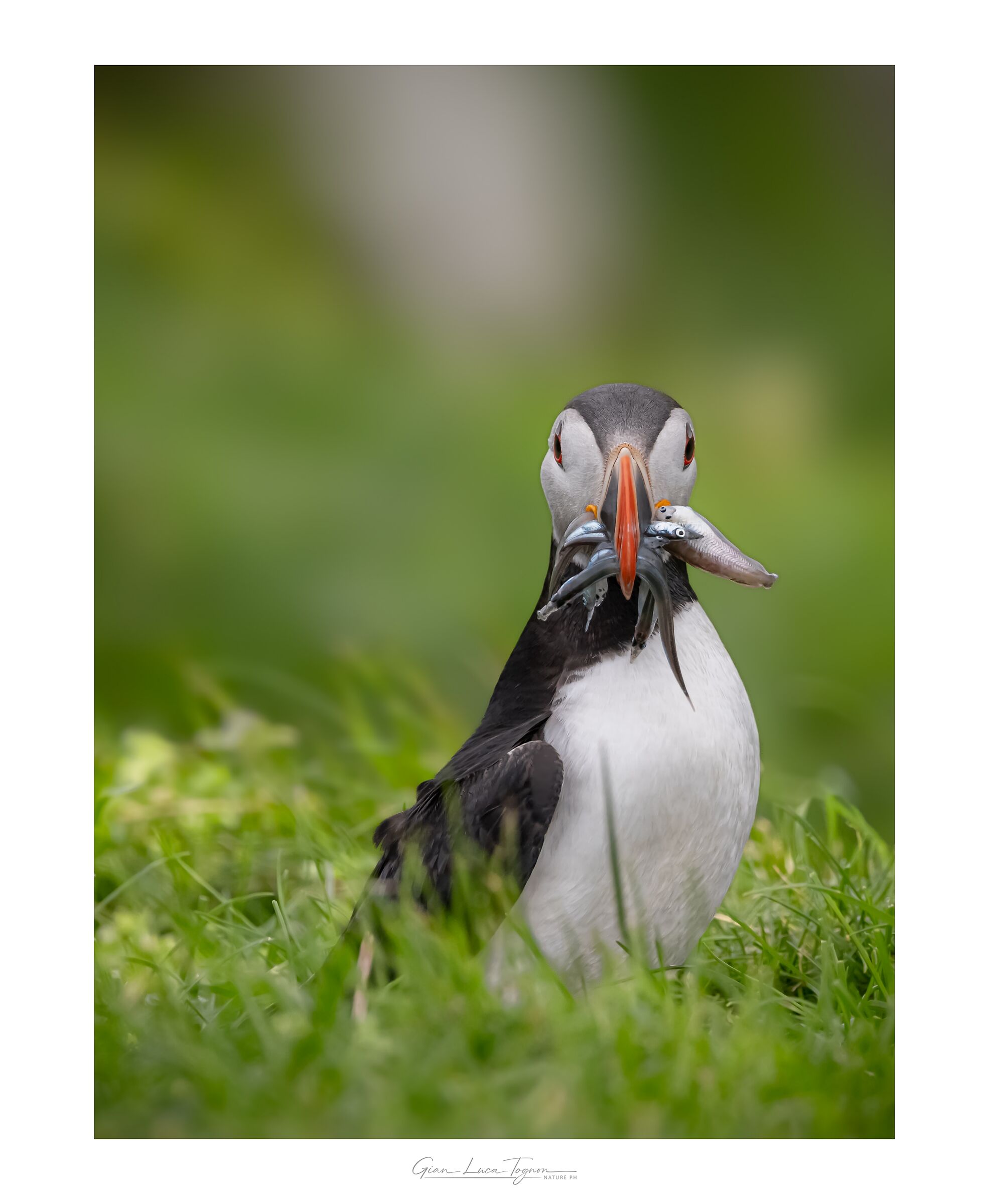 a bocca piena, con eleganza