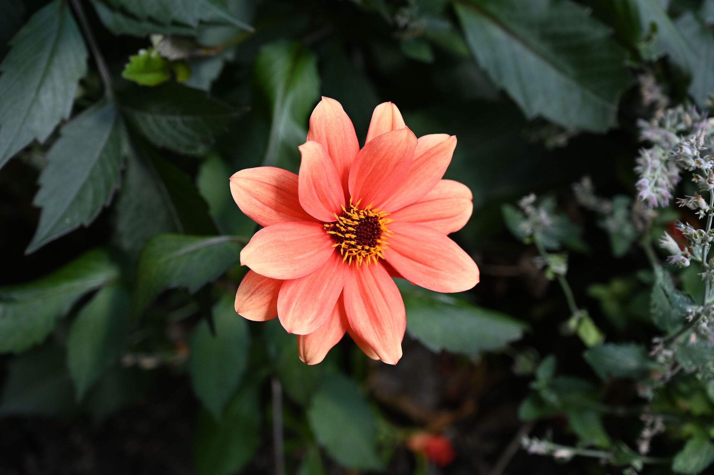 Untitled Photo